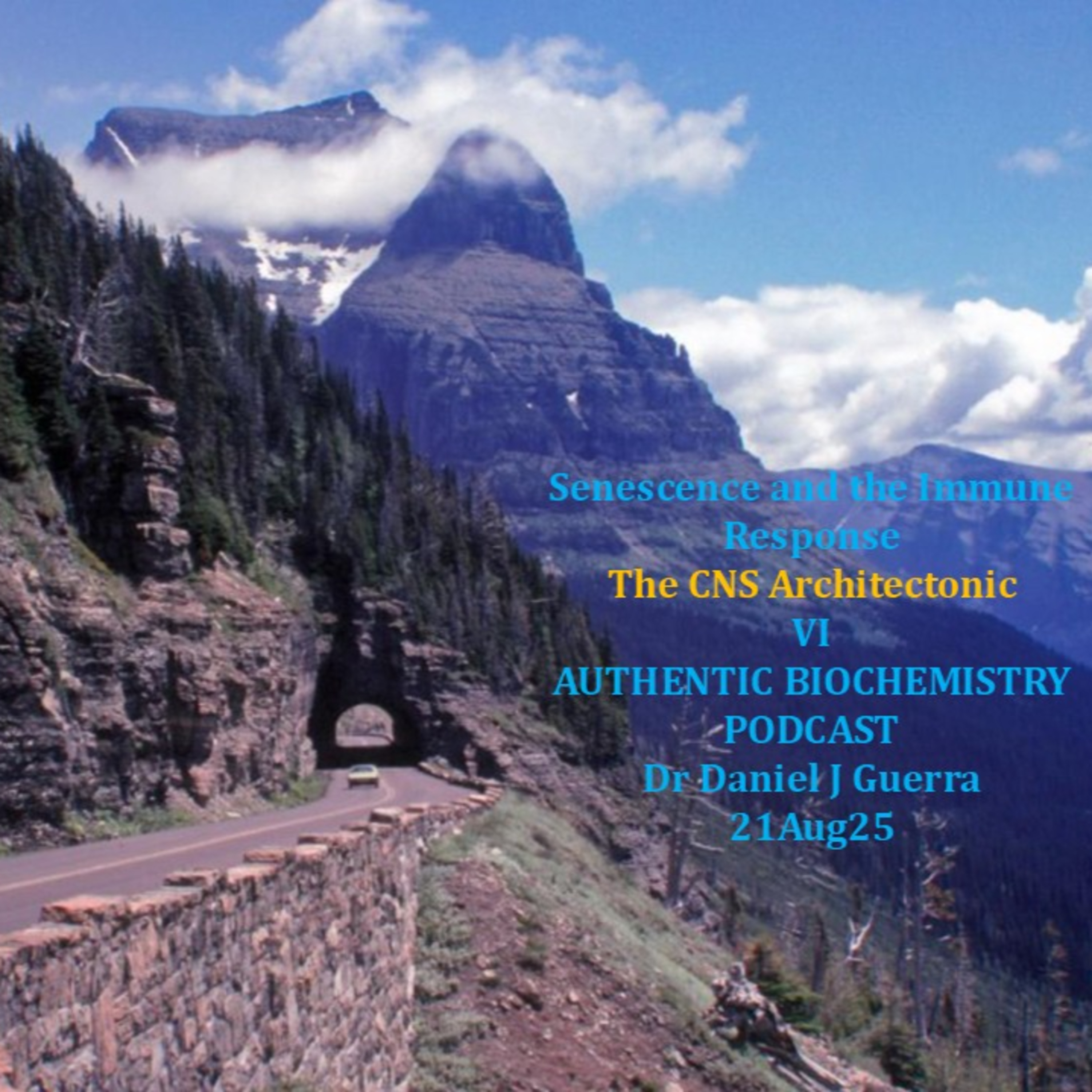 Senescence and the Immune Response. The CNS Architectonic.VI.AUTHENTIC BIOCHEMISTRY PODCAST.Dr Daniel J Guerra.21Aug25