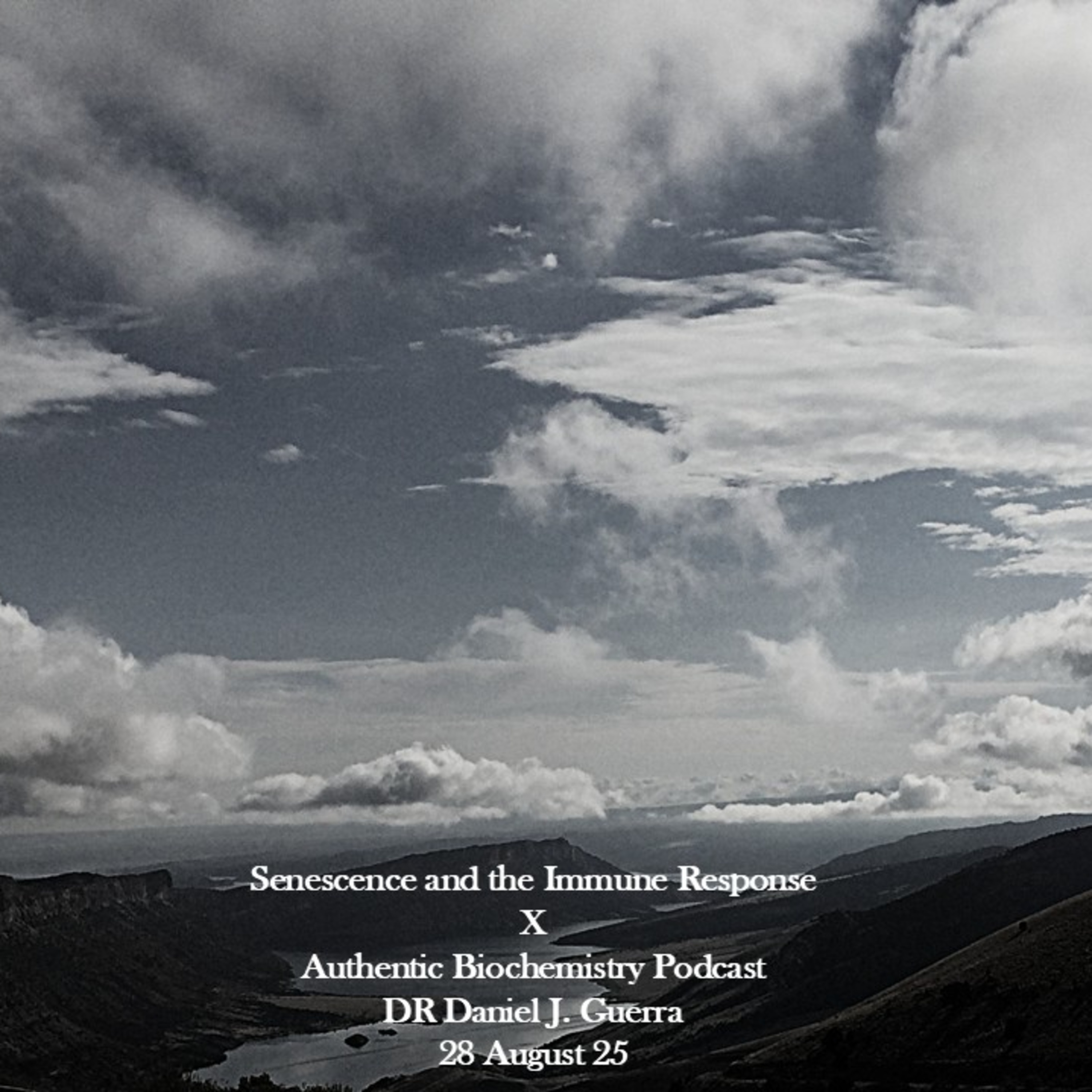 Senescence and the Immune ResponseXAuthentic Biochemistry PodcastDR Daniel J. Guerra28 August 25