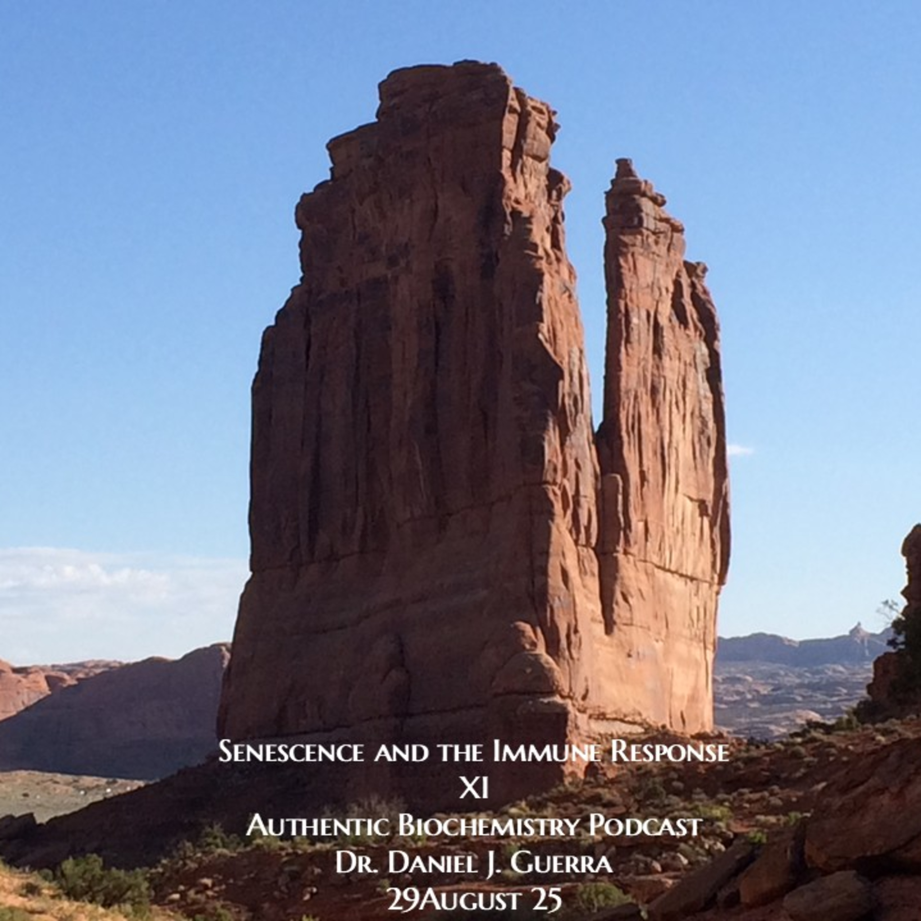 Senescence and the Immune ResponseXIAuthentic Biochemistry Podcast Dr. Daniel J. Guerra29August 25