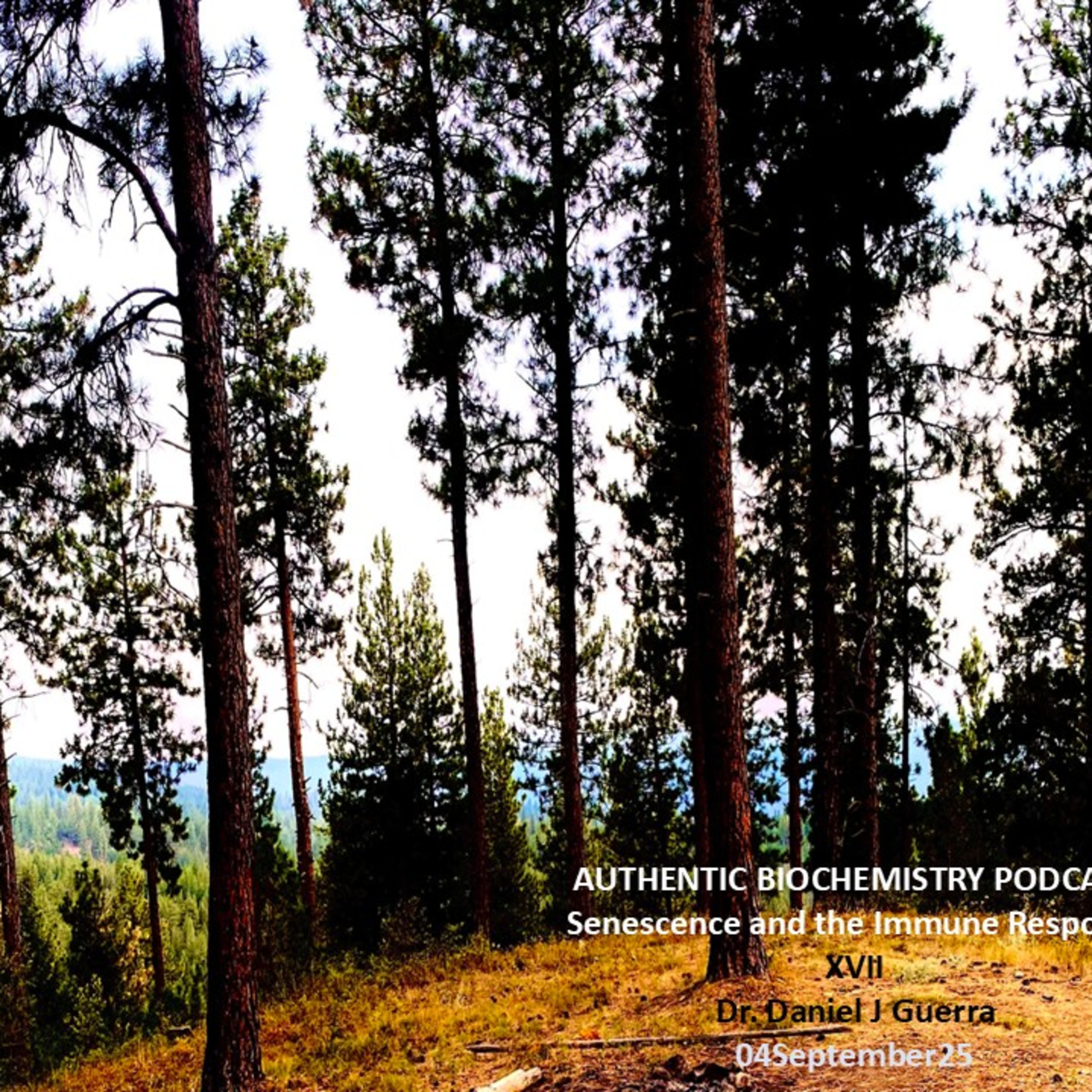 AUTHENTIC BIOCHEMISTRY PODCAST Senescence and the Immune ResponseXVII Dr. Daniel J Guerra 04September25