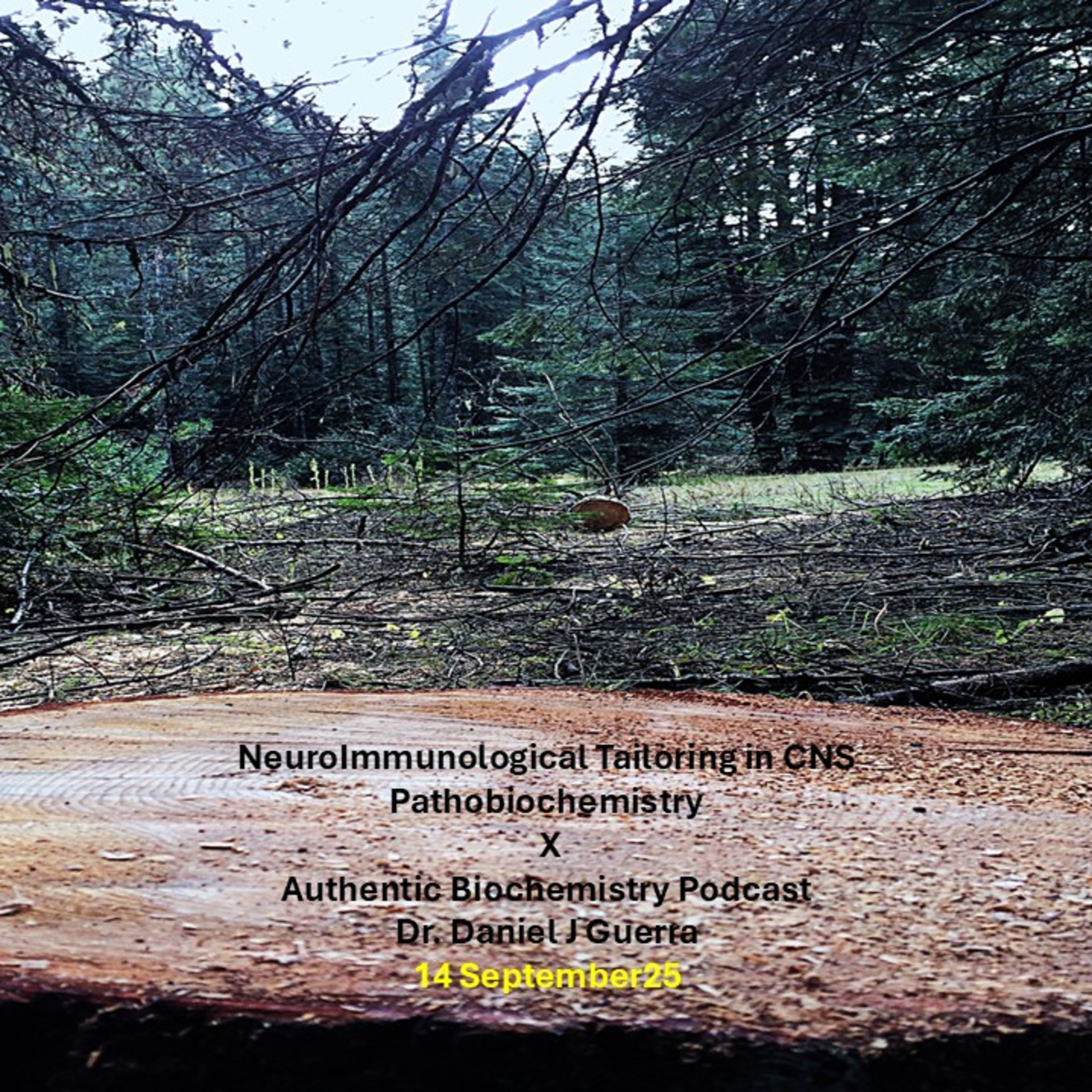 NeuroImmunological Tailoring in CNS Pathobiochemistry X Authentic Biochemistry Podcast Dr. Daniel J Guerra 14 September25