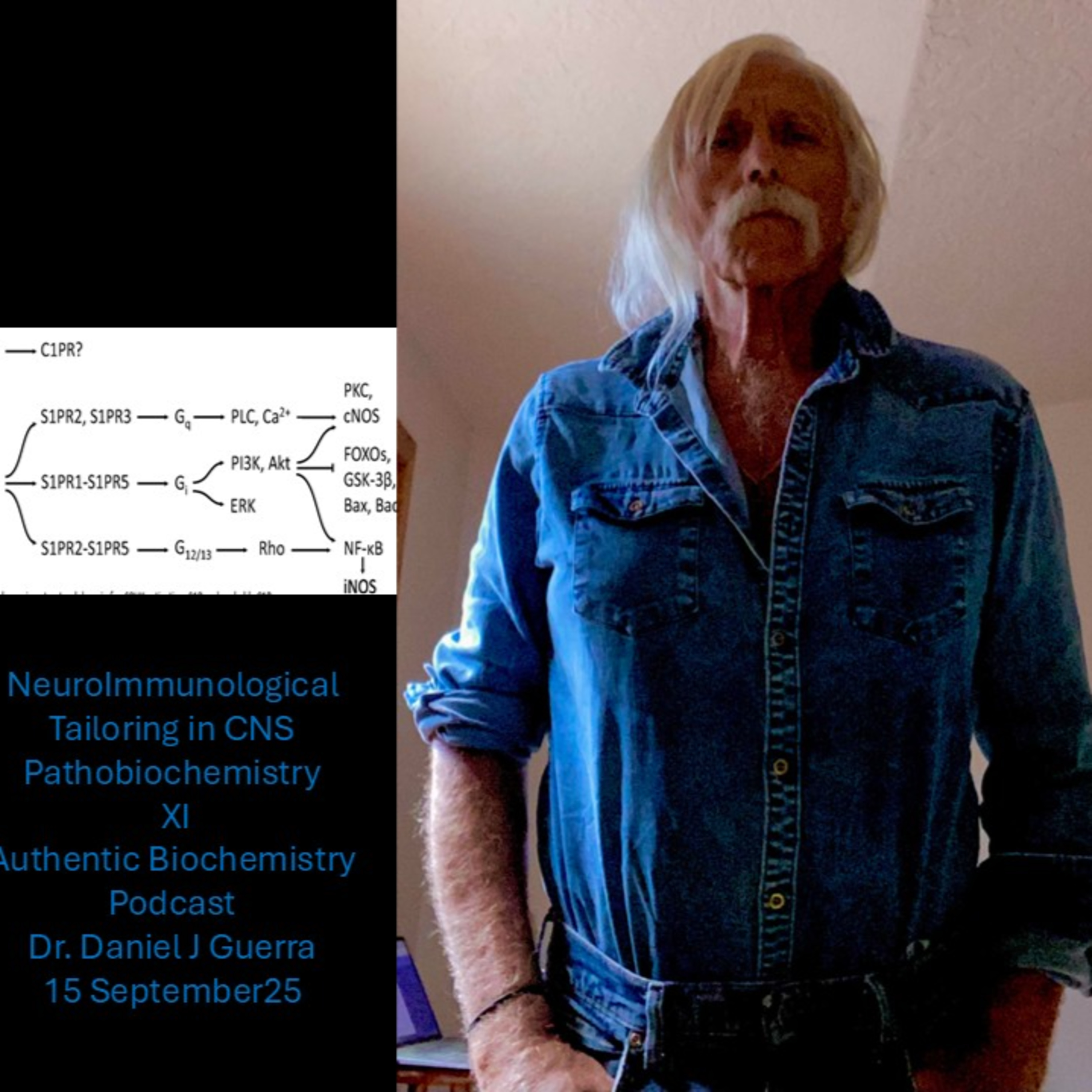 NeuroImmunological Tailoring in CNS Pathobiochemistry XI Authentic Biochemistry Podcast Dr. Daniel J Guerra 15 September25