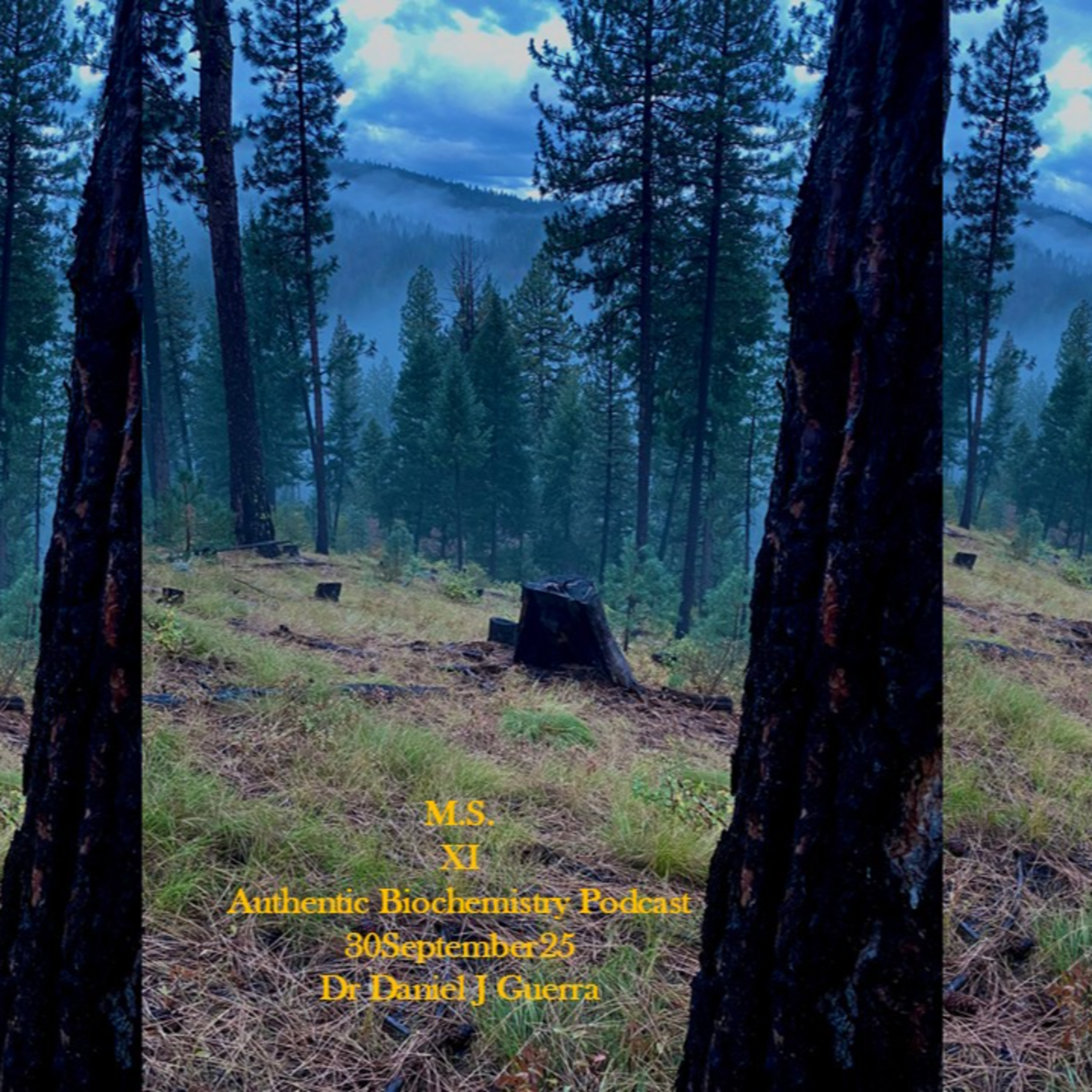 M.S. XI Authentic Biochemistry Podcast 30September25 Dr Daniel J Guerra