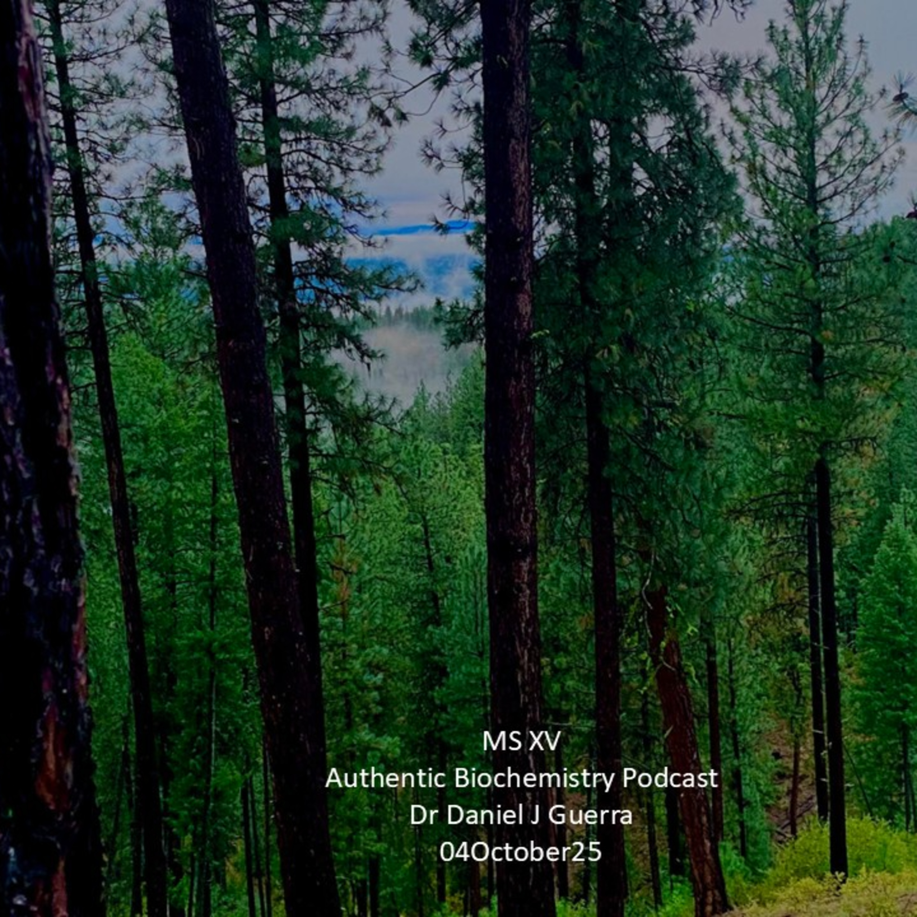 MS XV Authentic Biochemistry Podcast Dr Daniel J Guerra 04October25