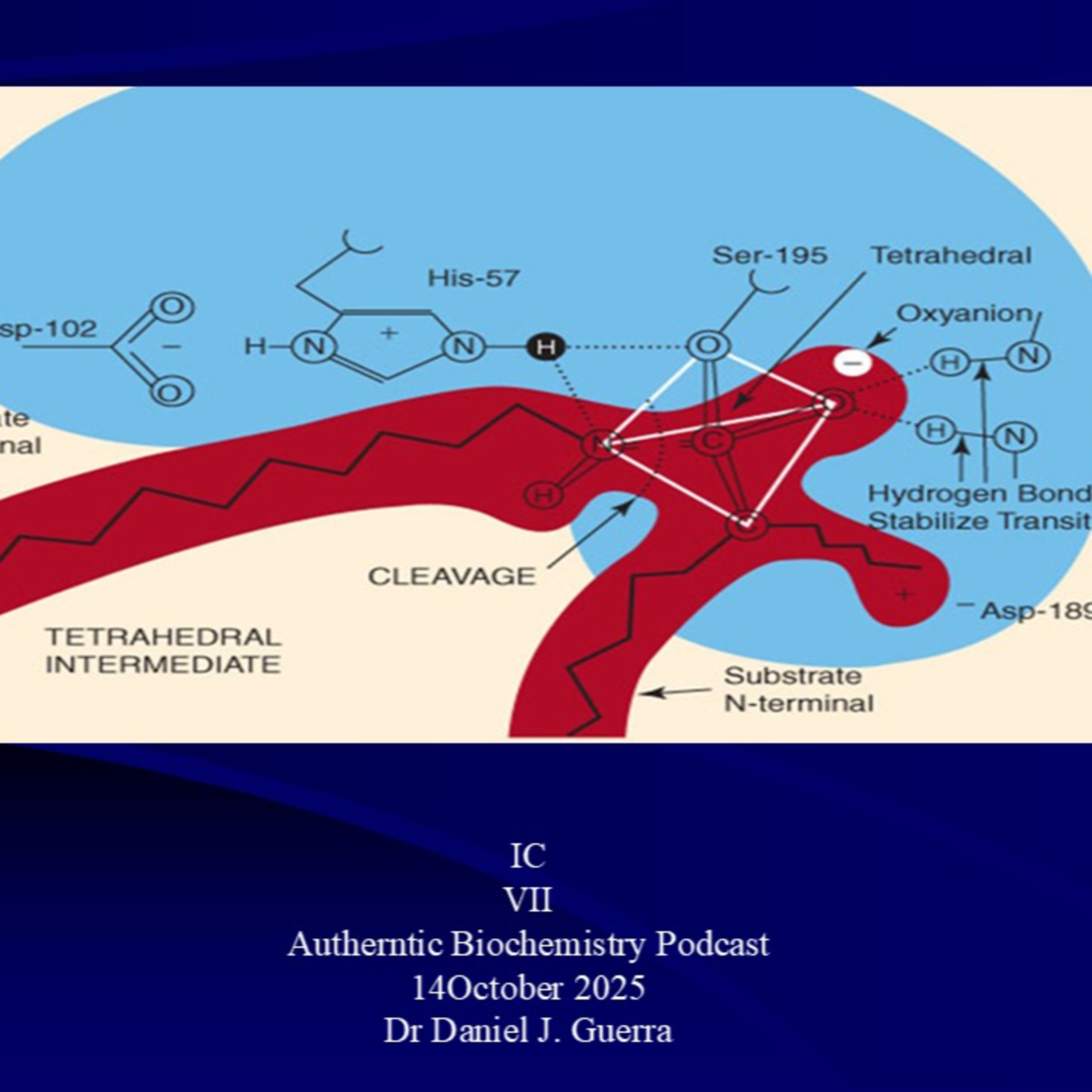IC VII Autherntic Biochemistry Podcast 14October 2025 Dr Daniel J. Guerra