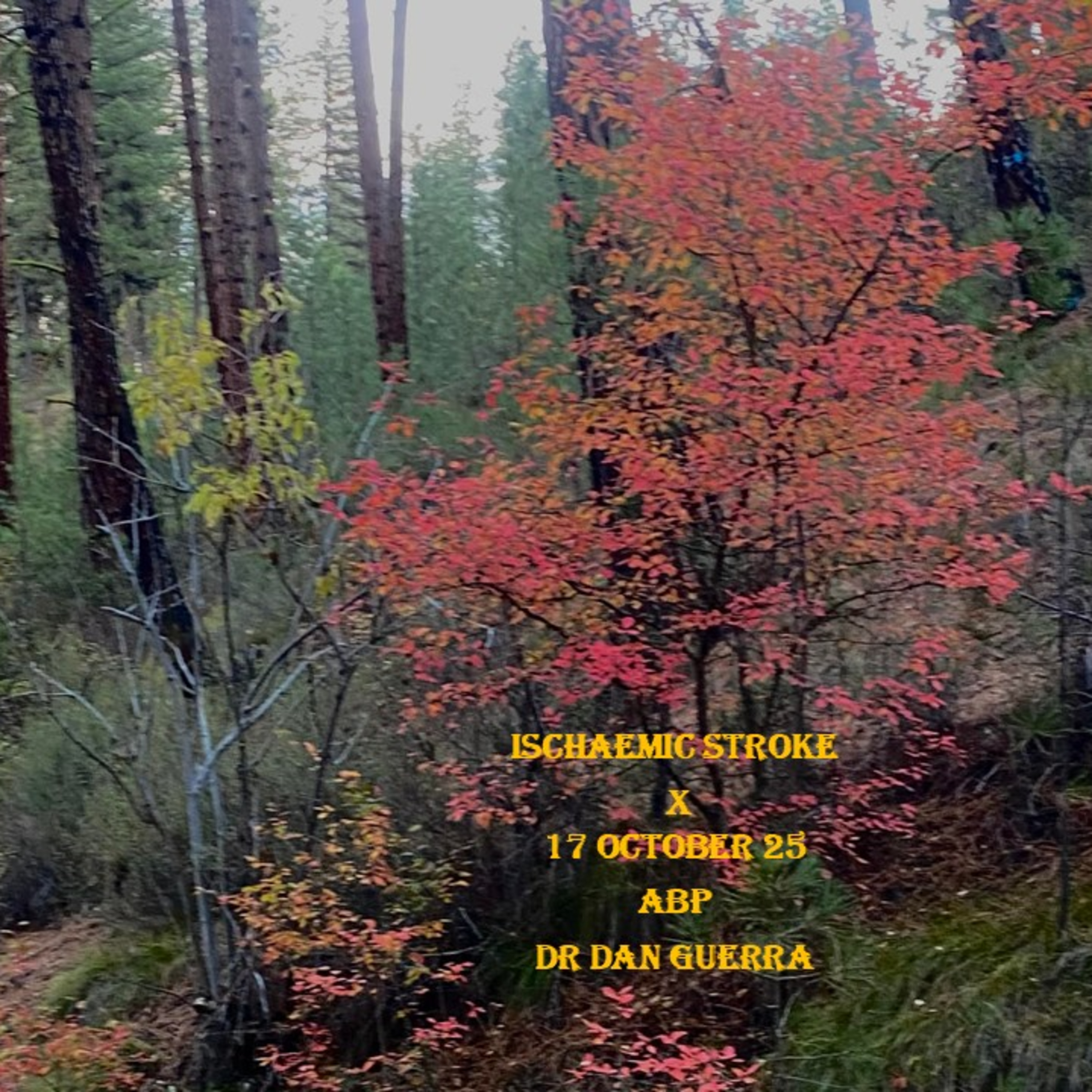 Ischaemic Stroke X. 17 October 25 Authentic Biochemistry Podcast. Dr Dan Guerra