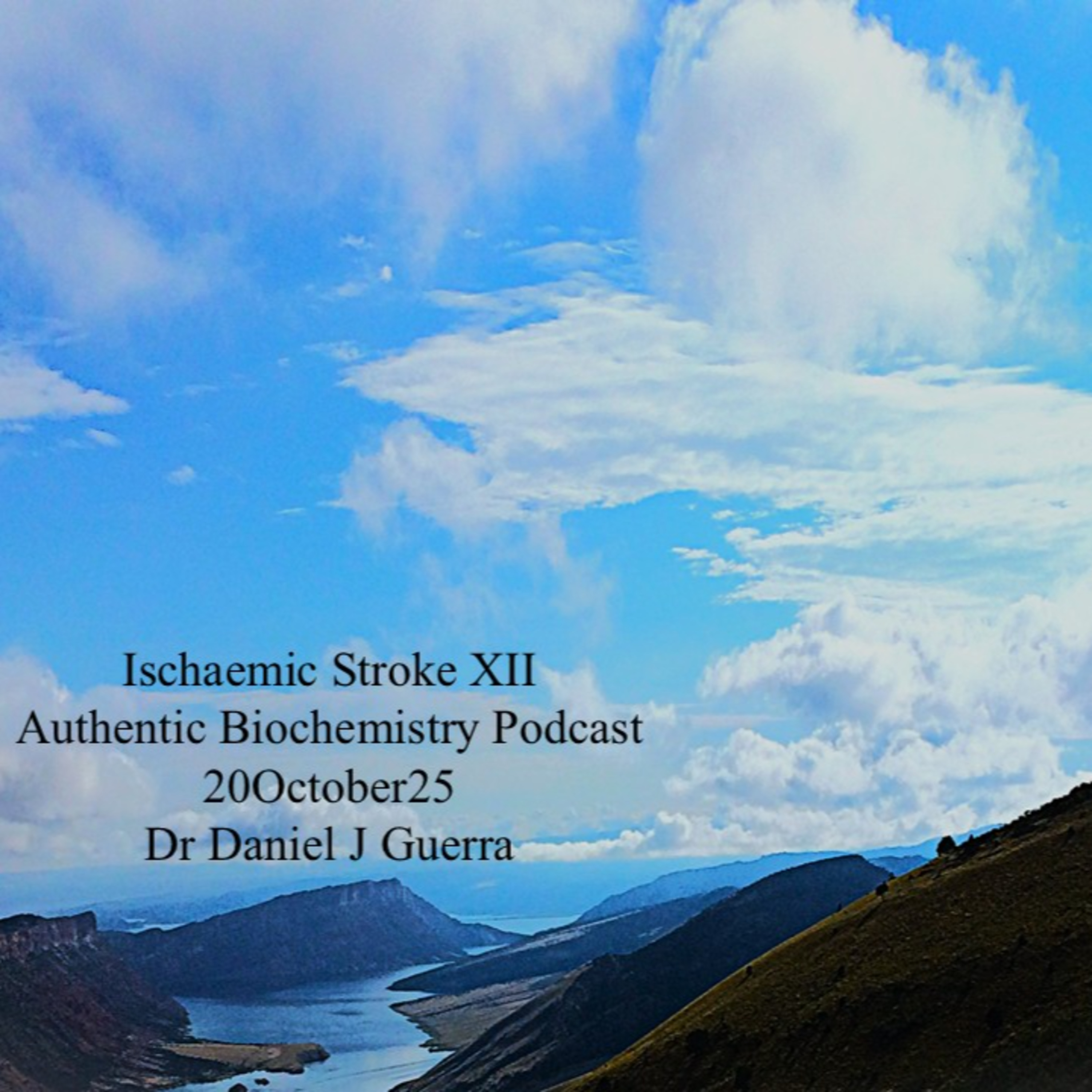 Ischaemic Stroke XII Authentic Biochemistry Podcast 20 October 25 Dr Daniel J Guerra