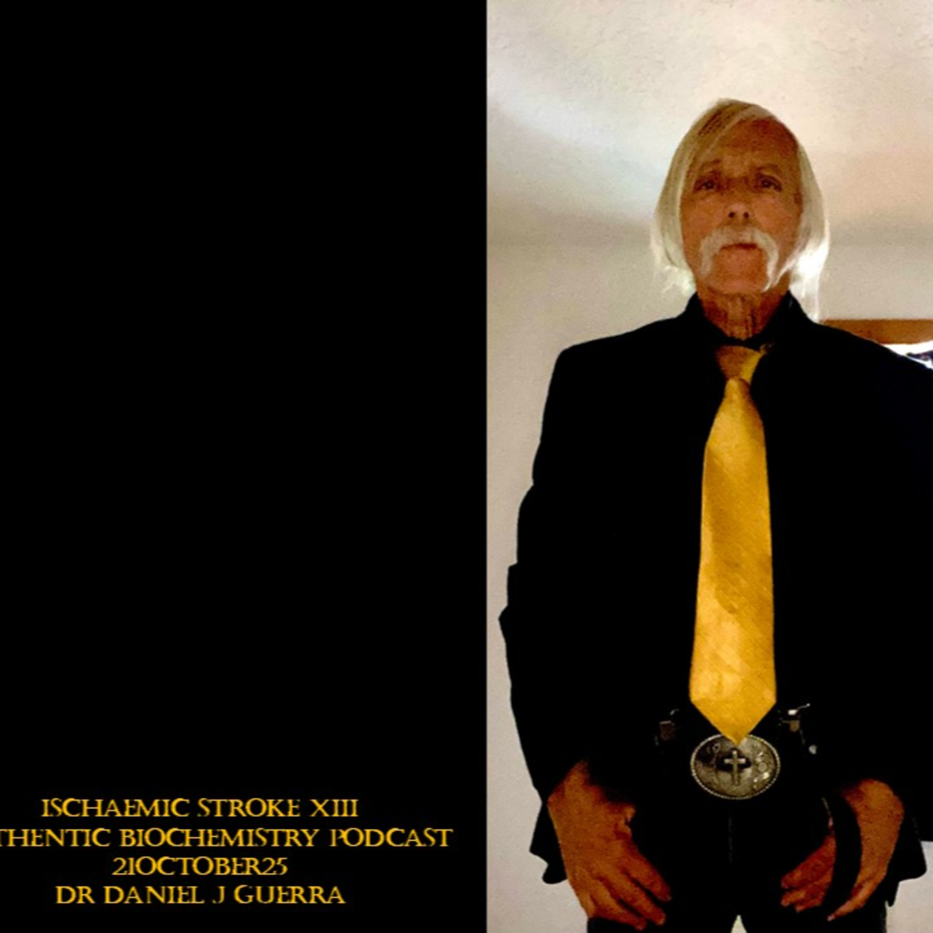 Ischaemic Stroke XIII Authentic Biochemistry Podcast 21October25 Dr Daniel J Guerra