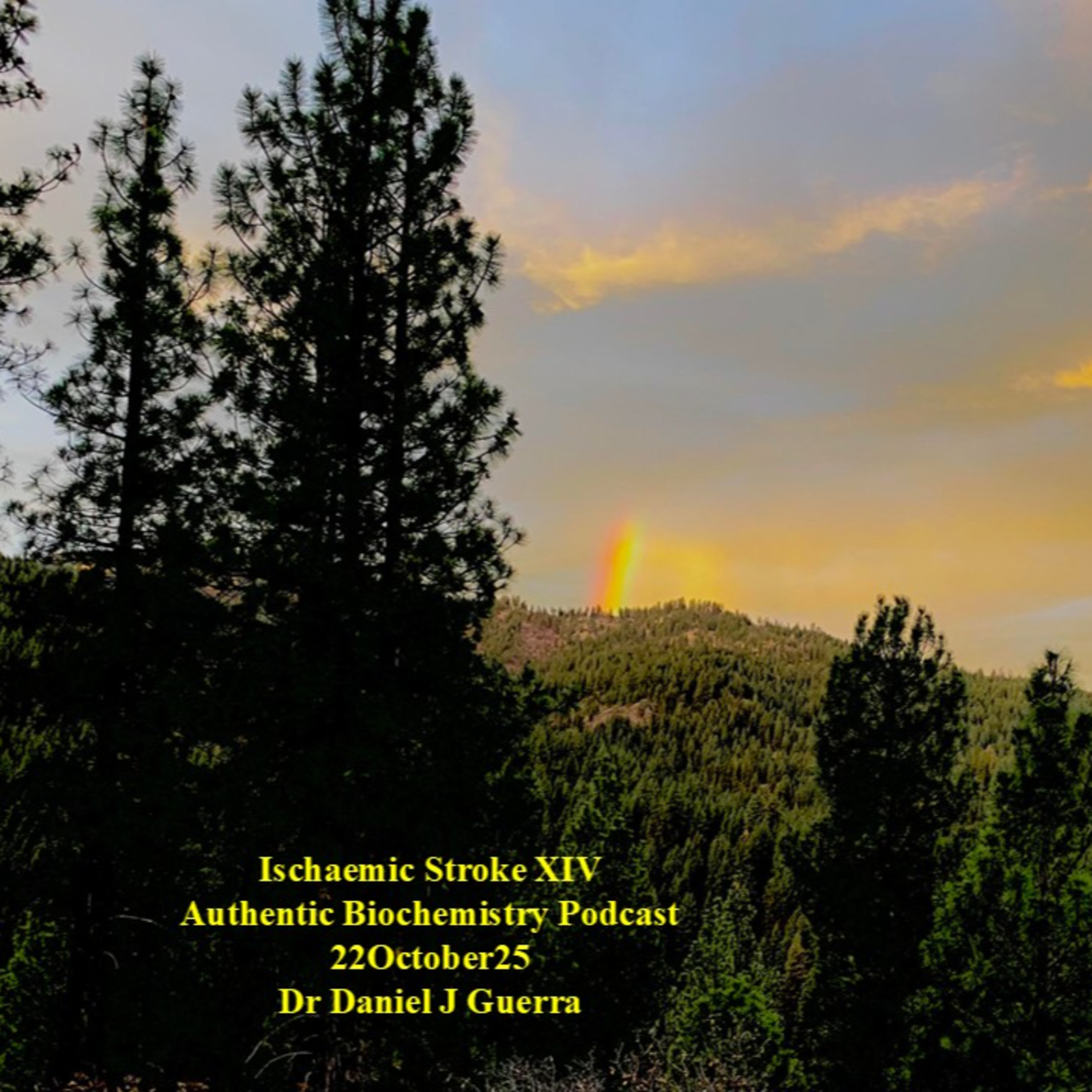 Ischaemic Stroke XIV Authentic Biochemistry Podcast 22October25 Dr Daniel J Guerra