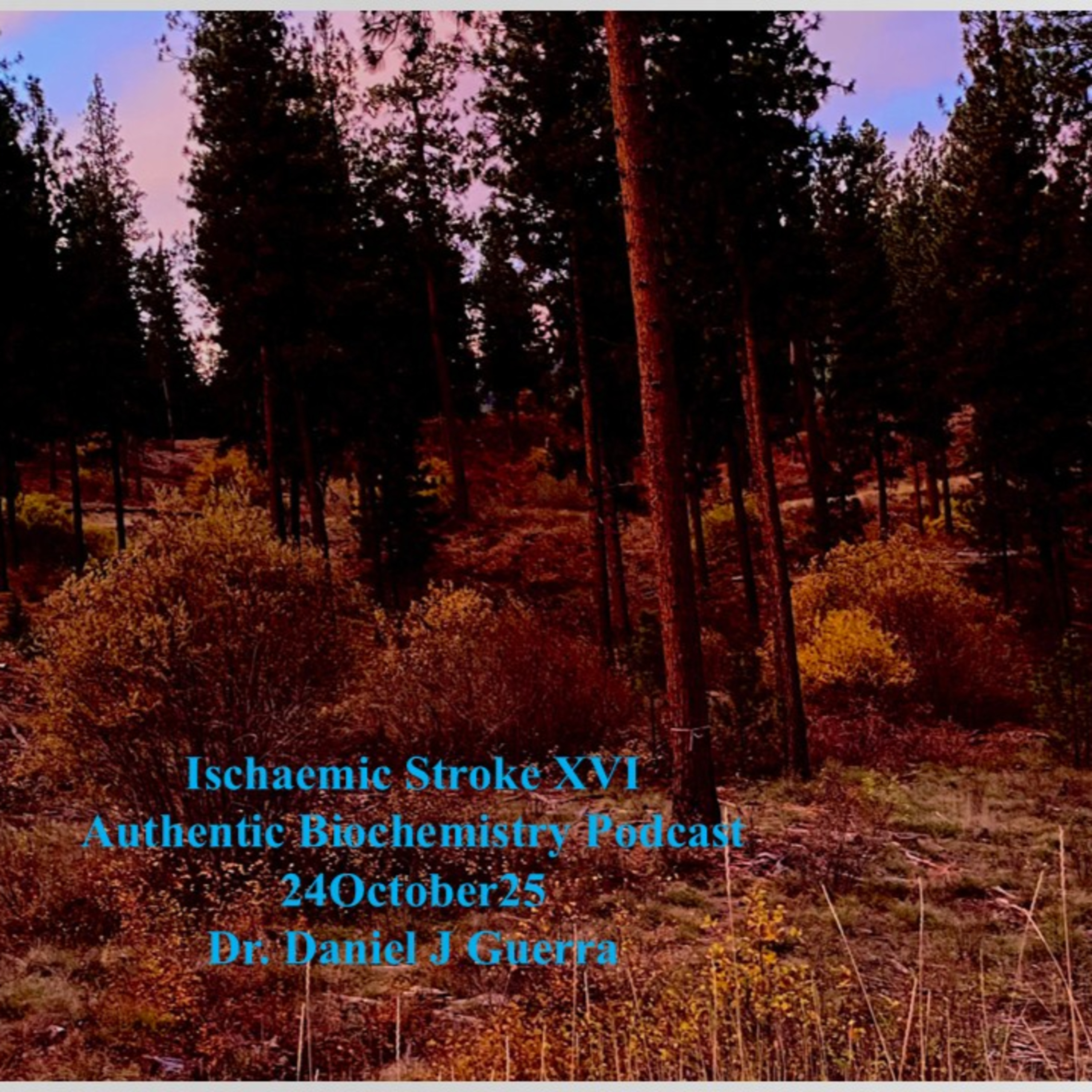 Ischaemic Stroke XVI Authentic Biochemistry Podcast 24October25 Dr. Daniel J Guerra