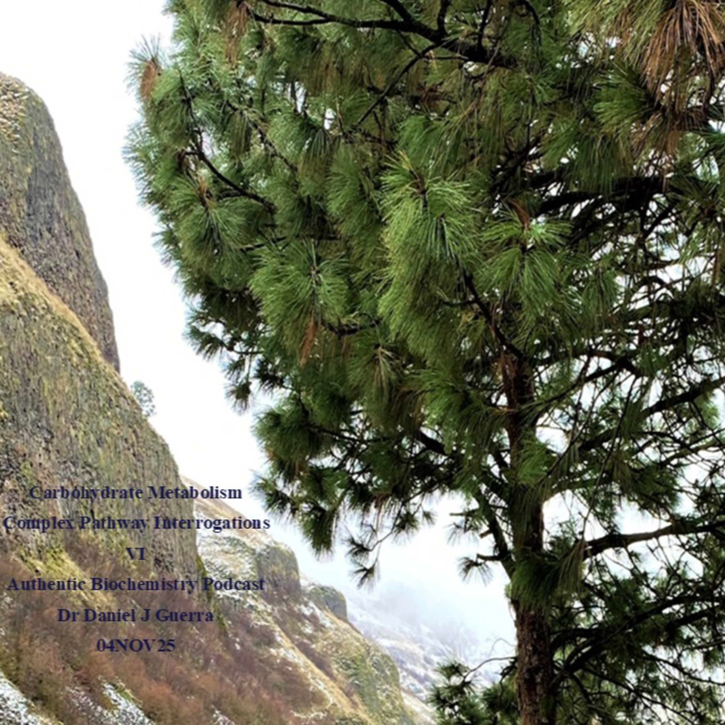 Carbohydrate Metabolism Complex Pathway Interrogations VI Authentic Biochemistry Podcast Dr Daniel J Guerra 04NOV25
