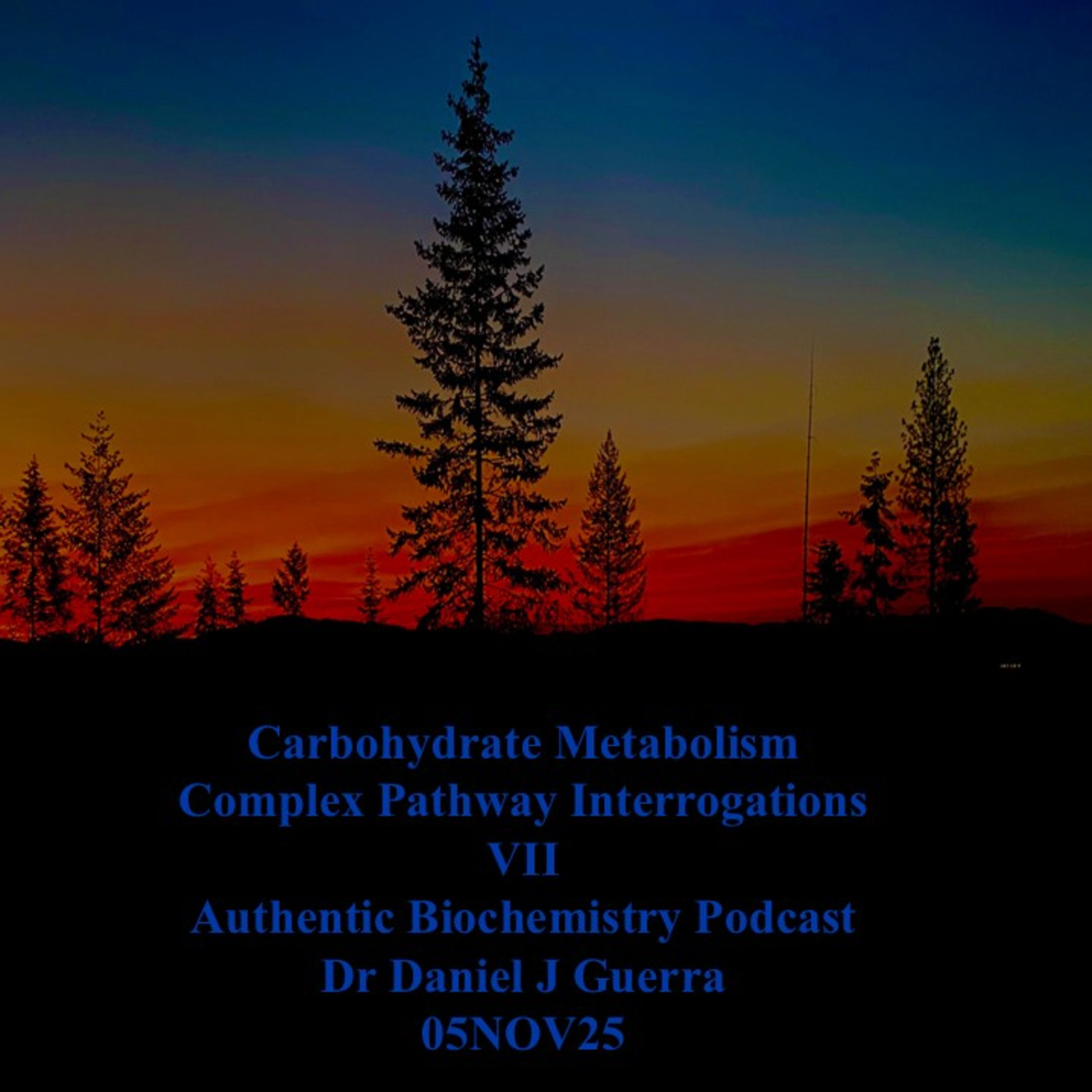 Carbohydrate Metabolism Complex Pathway Interrogations VII Authentic Biochemistry Podcast Dr Daniel J Guerra 05NOV25