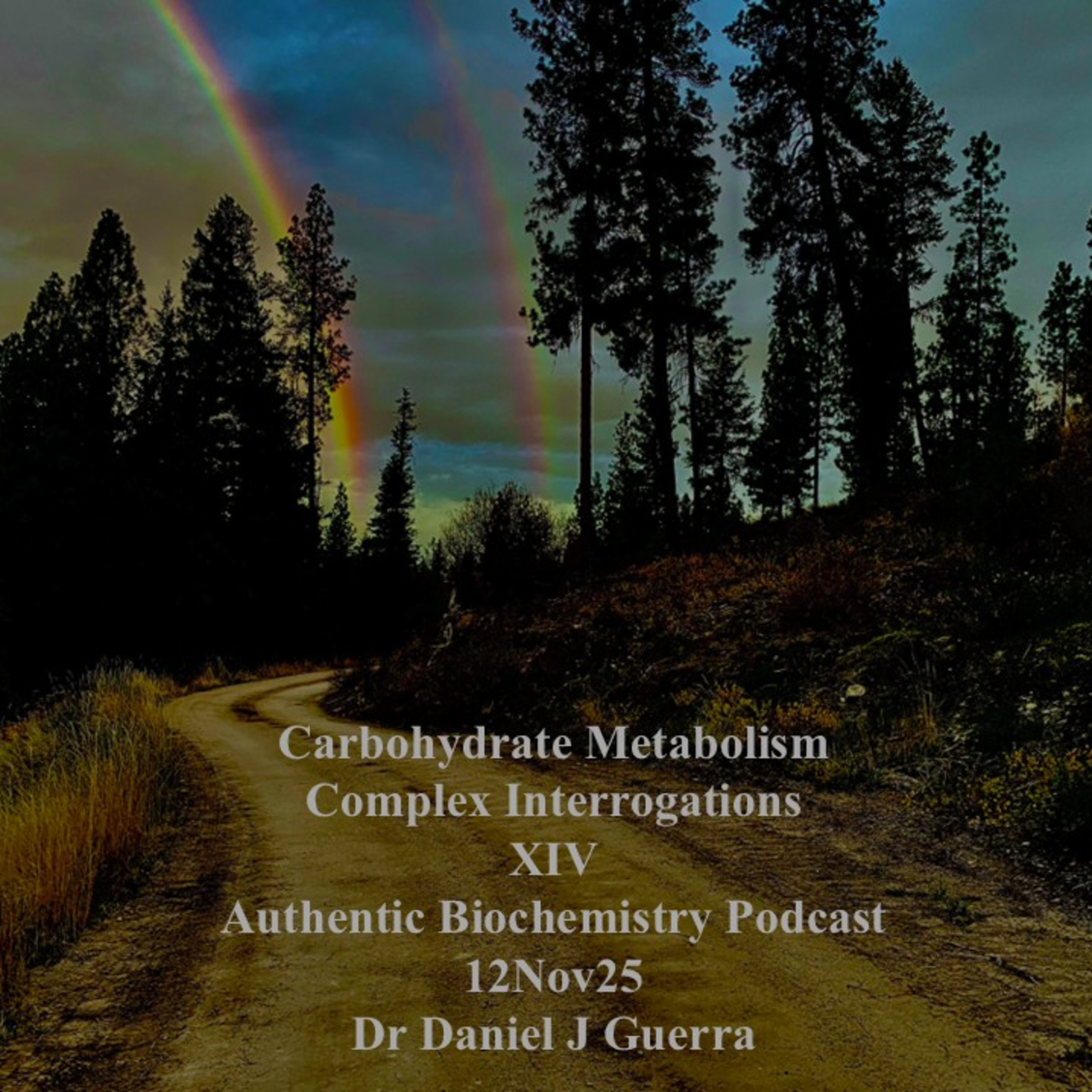 Carbohydrate Metabolism Complex Interrogations XIV Authentic Biochemistry Podcast 12Nov25 Dr Daniel J Guerra