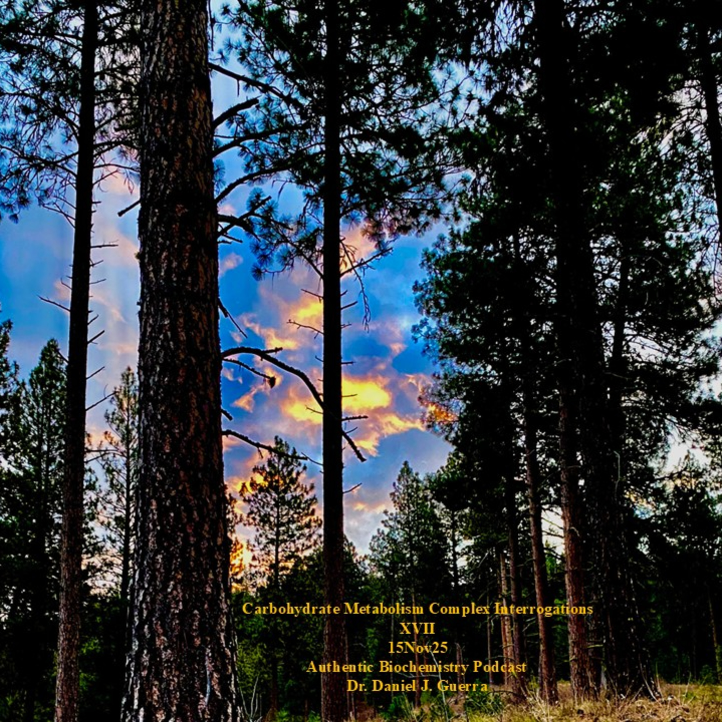 Carbohydrate Metabolism Complex InterrogationsXVII15Nov25Authentic Biochemistry Podcast Dr. Daniel J. Guerra