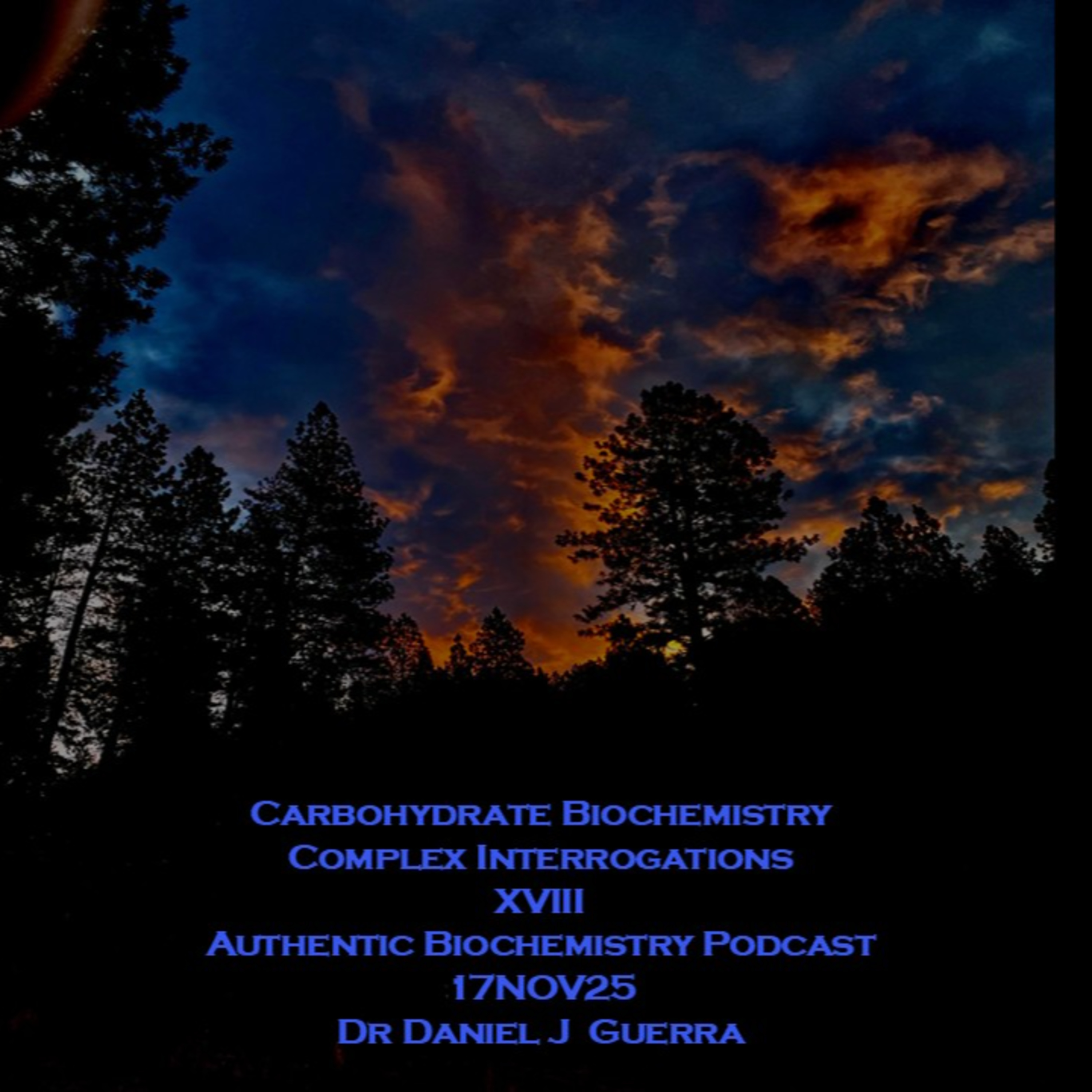 Carbohydrate Biochemistry Complex Interrogations XVIII Authentic Biochemistry Podcast Dr Daniel J. Guerra. 17 Nov25