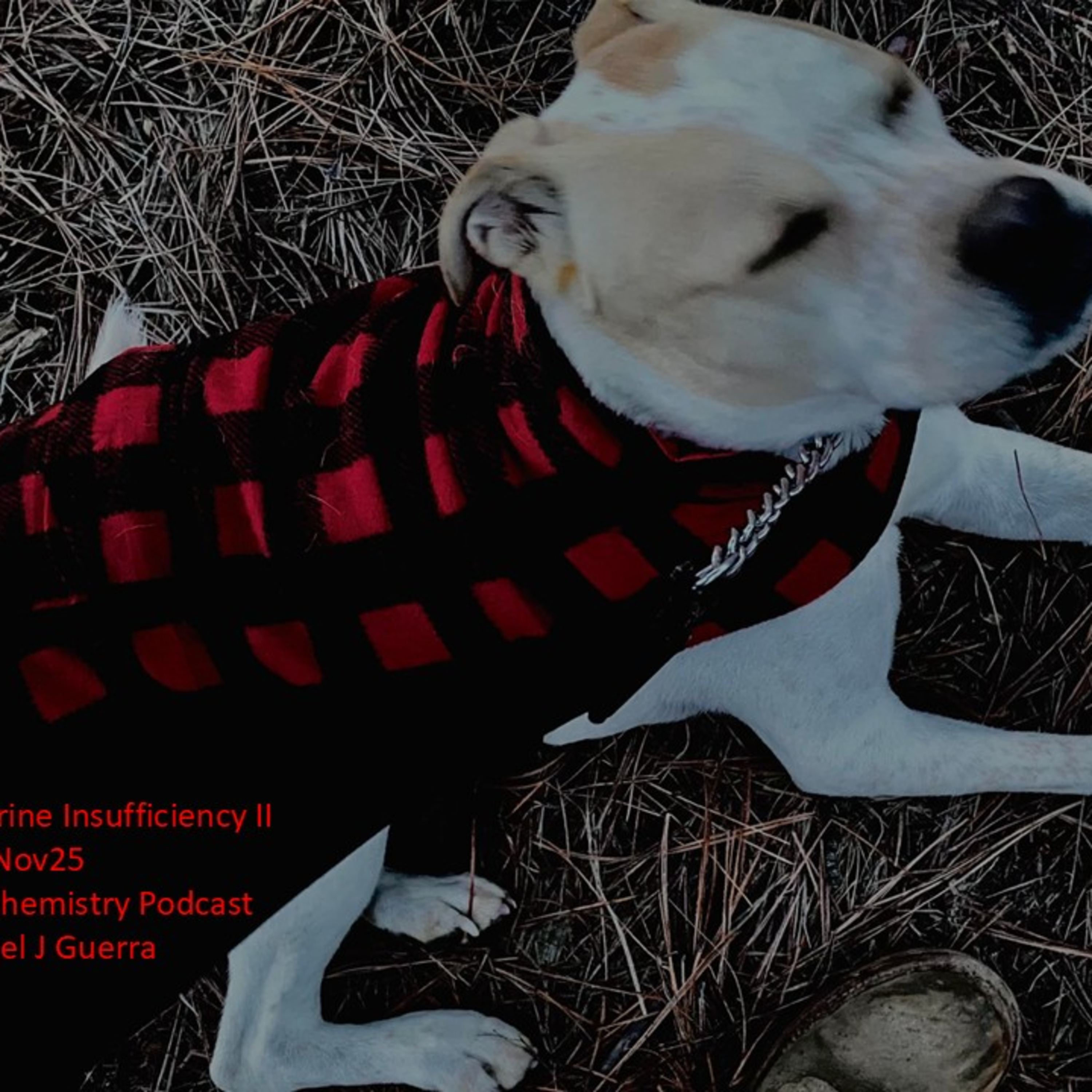 Pancreatic Exocrine Insufficiency II 29Nov25Authentic Biochemistry PodcastDr. Daniel J Guerra