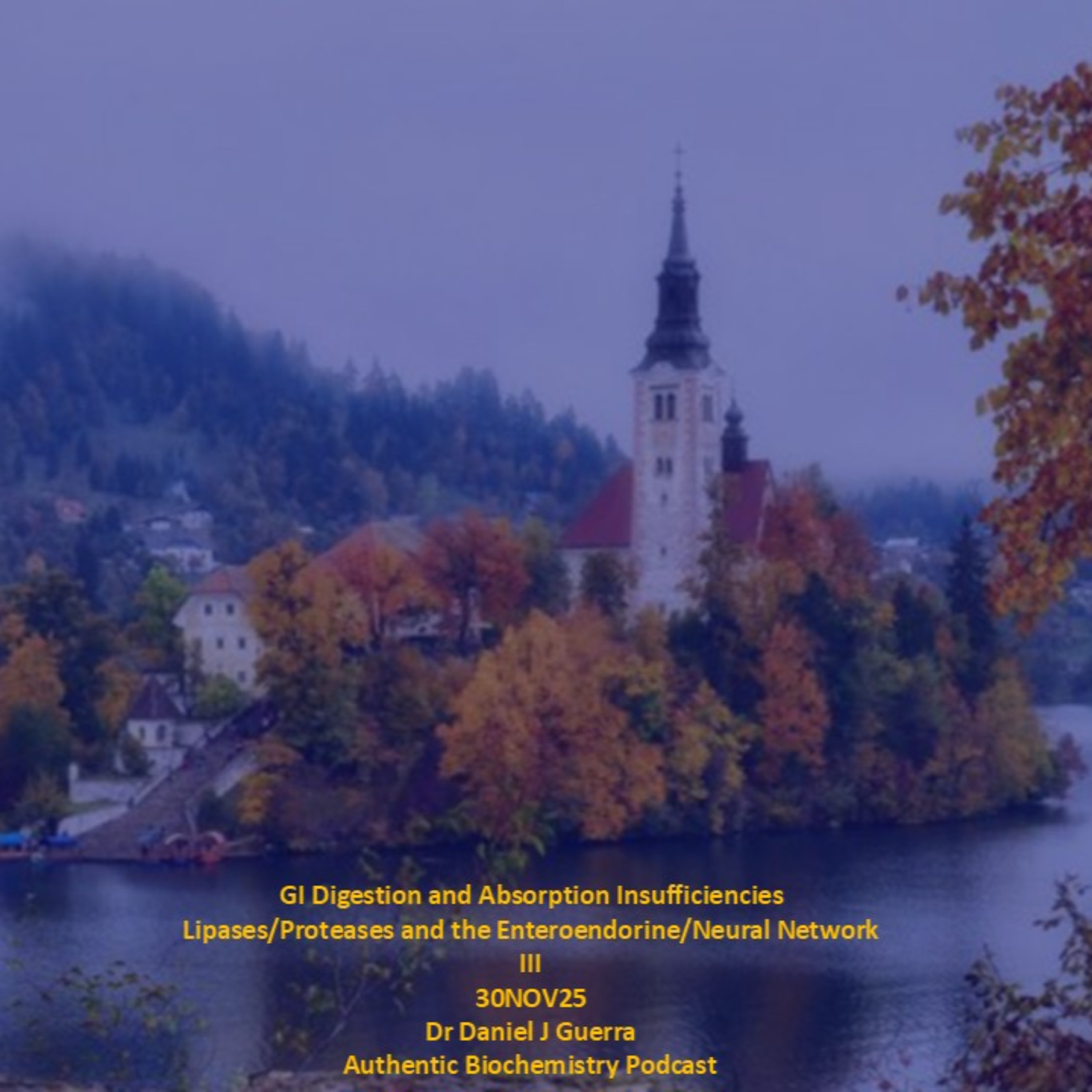 GI Digestion and Absorption Insufficiencies Lipases/Proeases and the Enteroendorine/Neural Network III 30NOV25 Dr Daniel J Guerra Authentic Biochemistry Podcast
