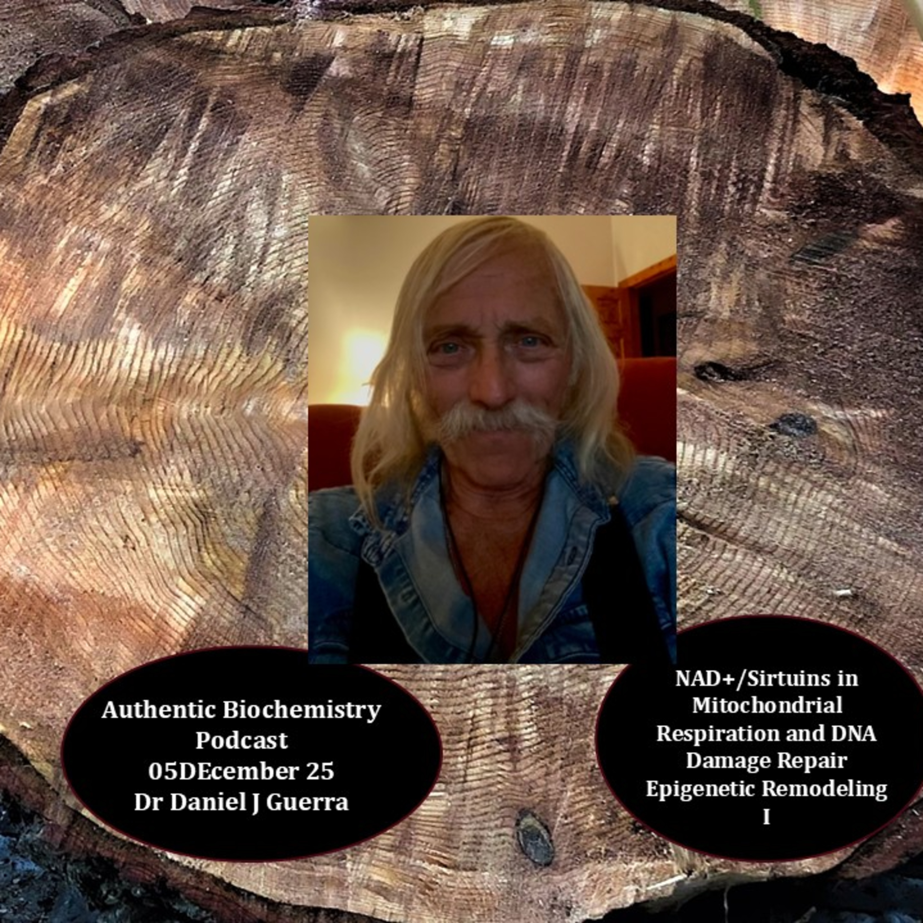 NAD+/Sirtuins in Mitochondrial Respiration and DNA Damage Repair Epigenetic Remodeling I Authentic Biochemistry Podcast Dr Daniel J Guerra.5Dec25