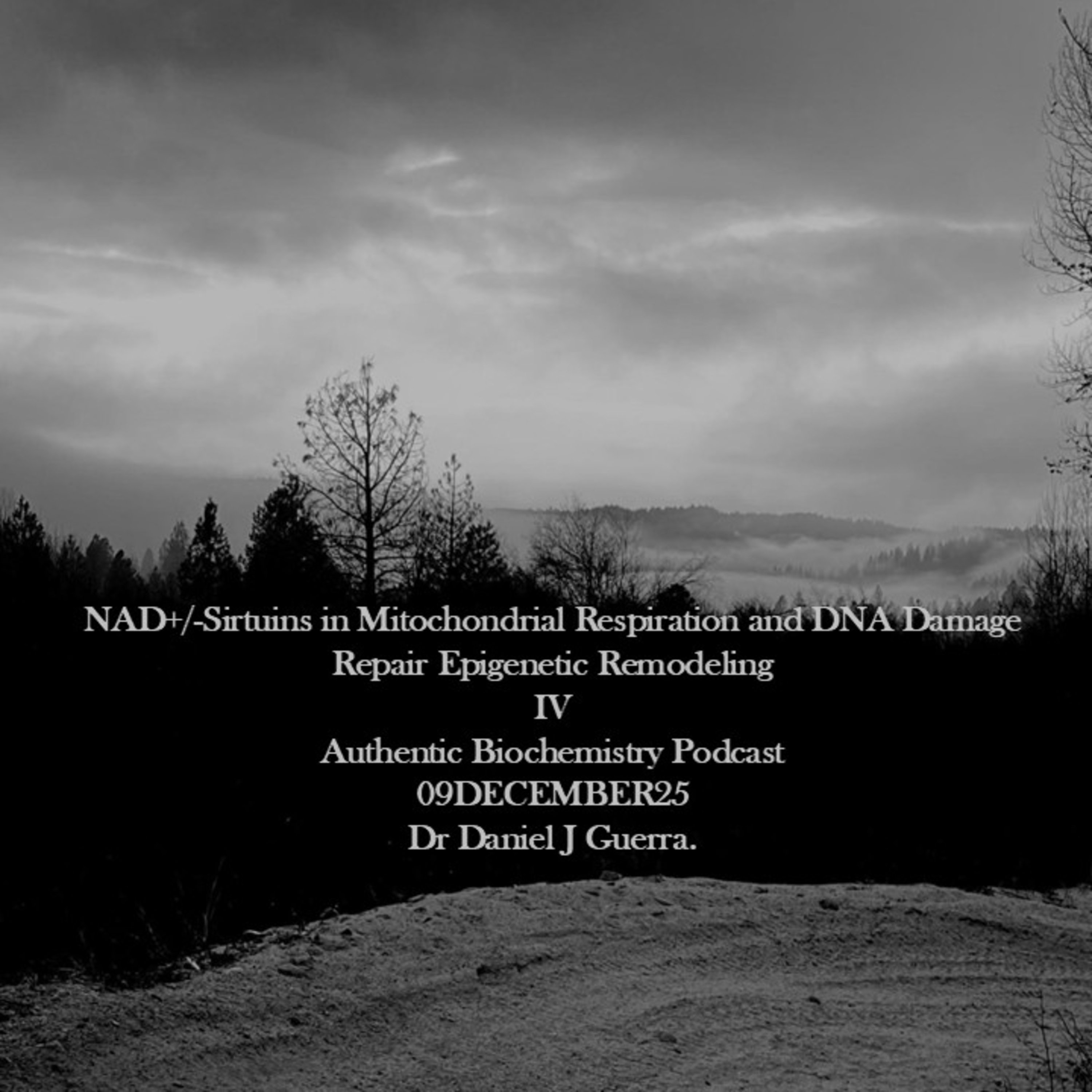 NAD+/-Sirtuins in Mitochondrial Respiration and DNA Damage Repair Epigenetic Remodeling IV Authentic Biochemistry Podcast 09DECEMBER25 Dr Daniel J Guerra.