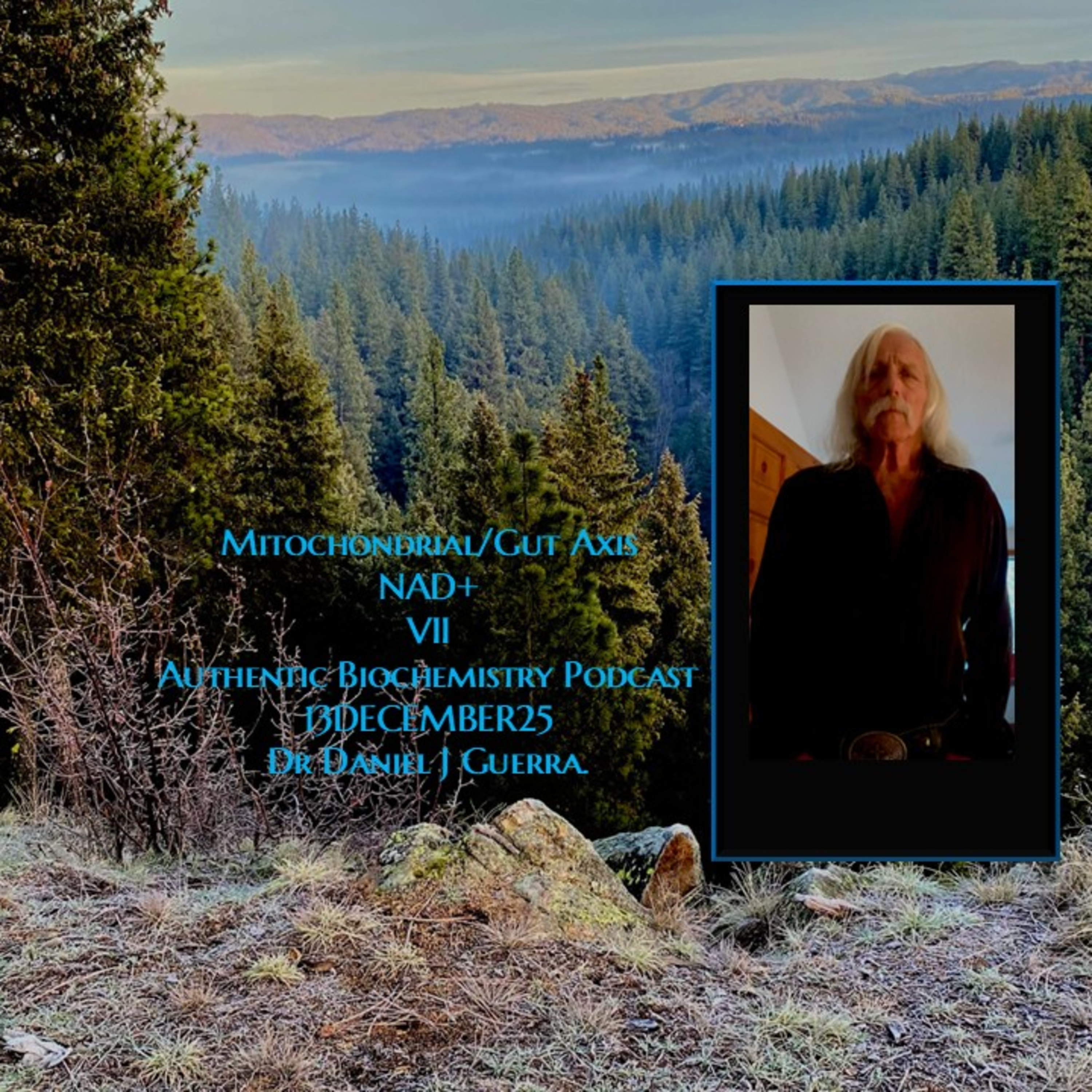 Mitochondrial/Gut Axis NAD+ VII Authentic Biochemistry Podcast 13DECEMBER25 Dr Daniel J Guerra.