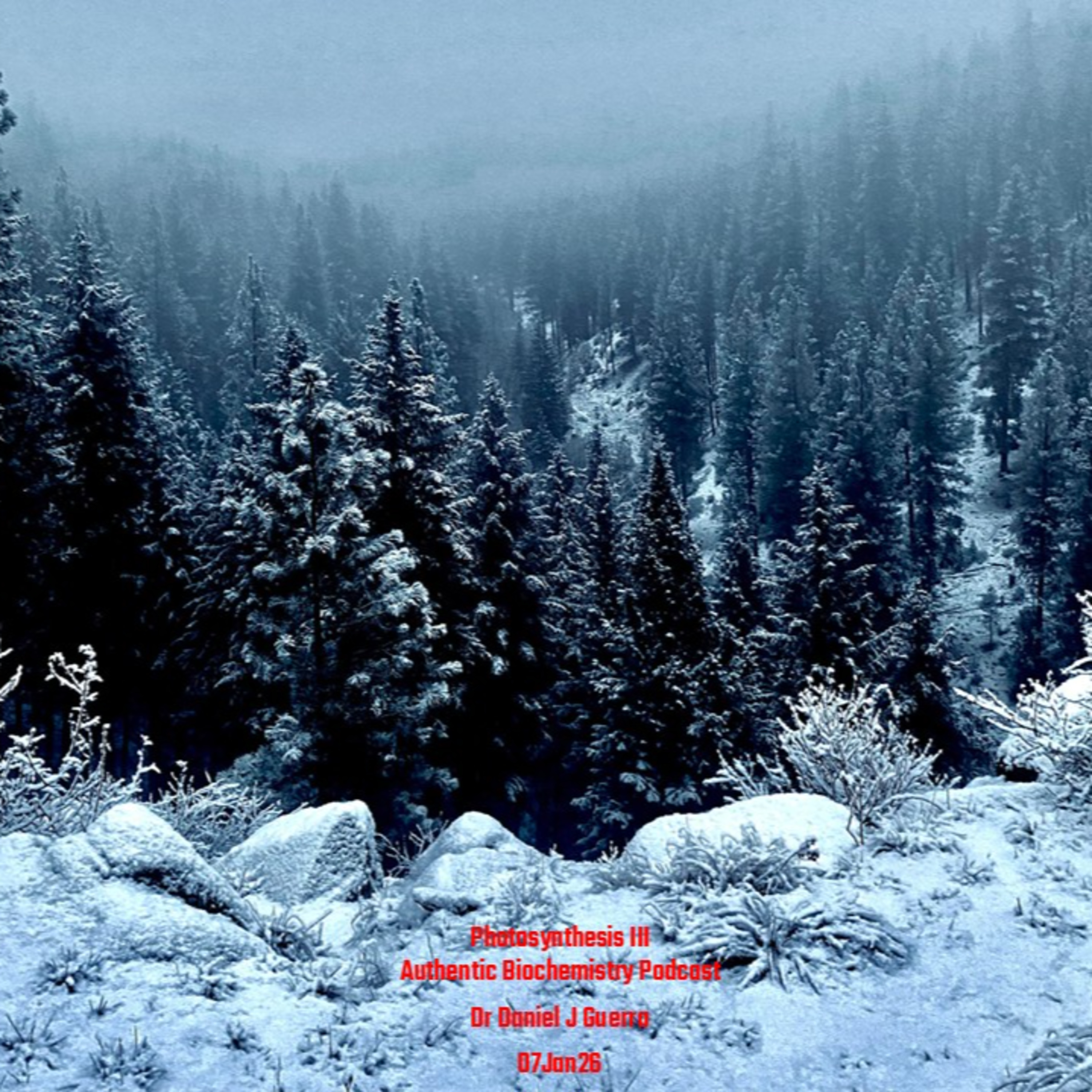 Photosynthesis IIIAuthentic Biochemistry Podcast Dr Daniel J Guerra 07Jan26