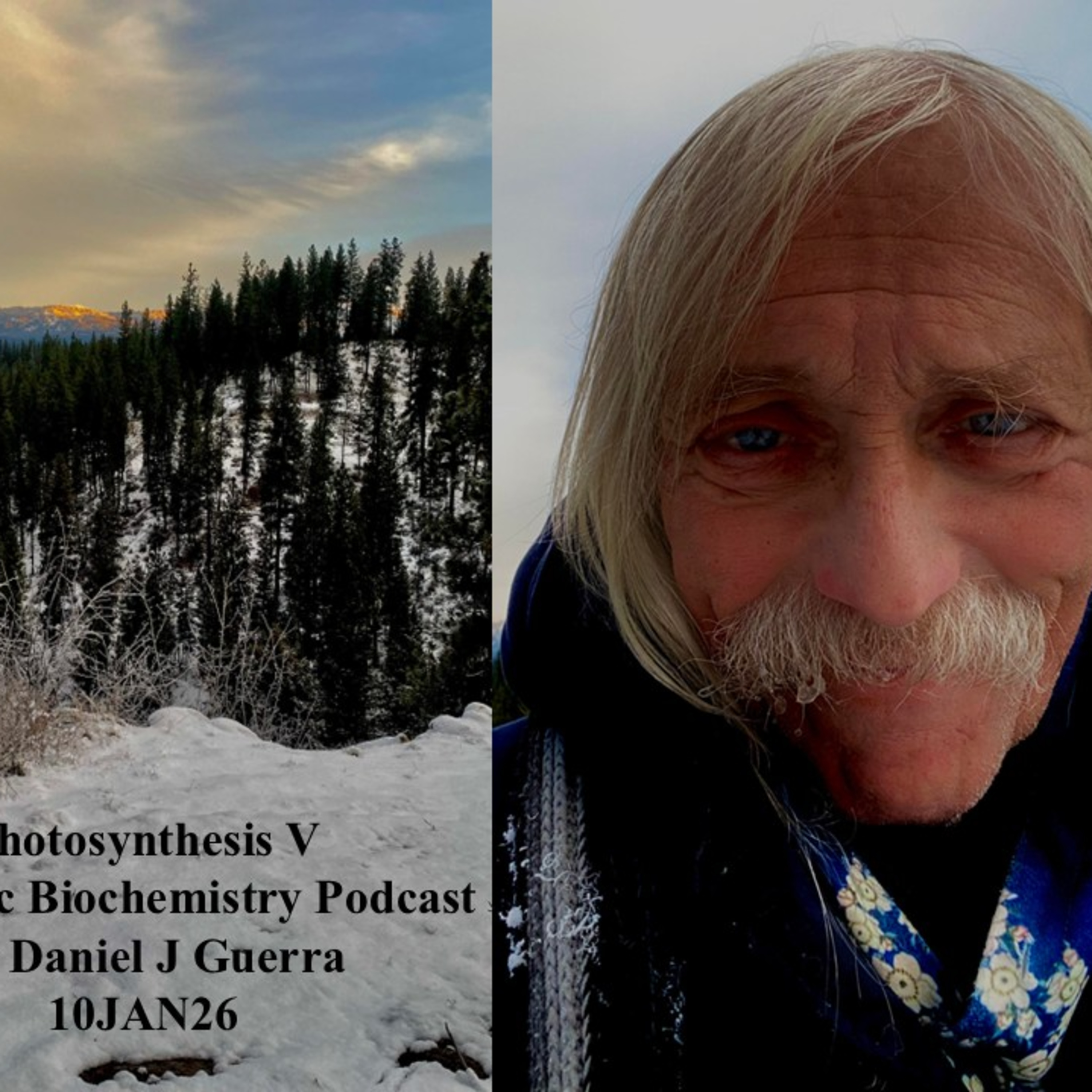 Photosynthesis V Authentic Biochemistry Podcast Dr Daniel J Guerra 10JAN26