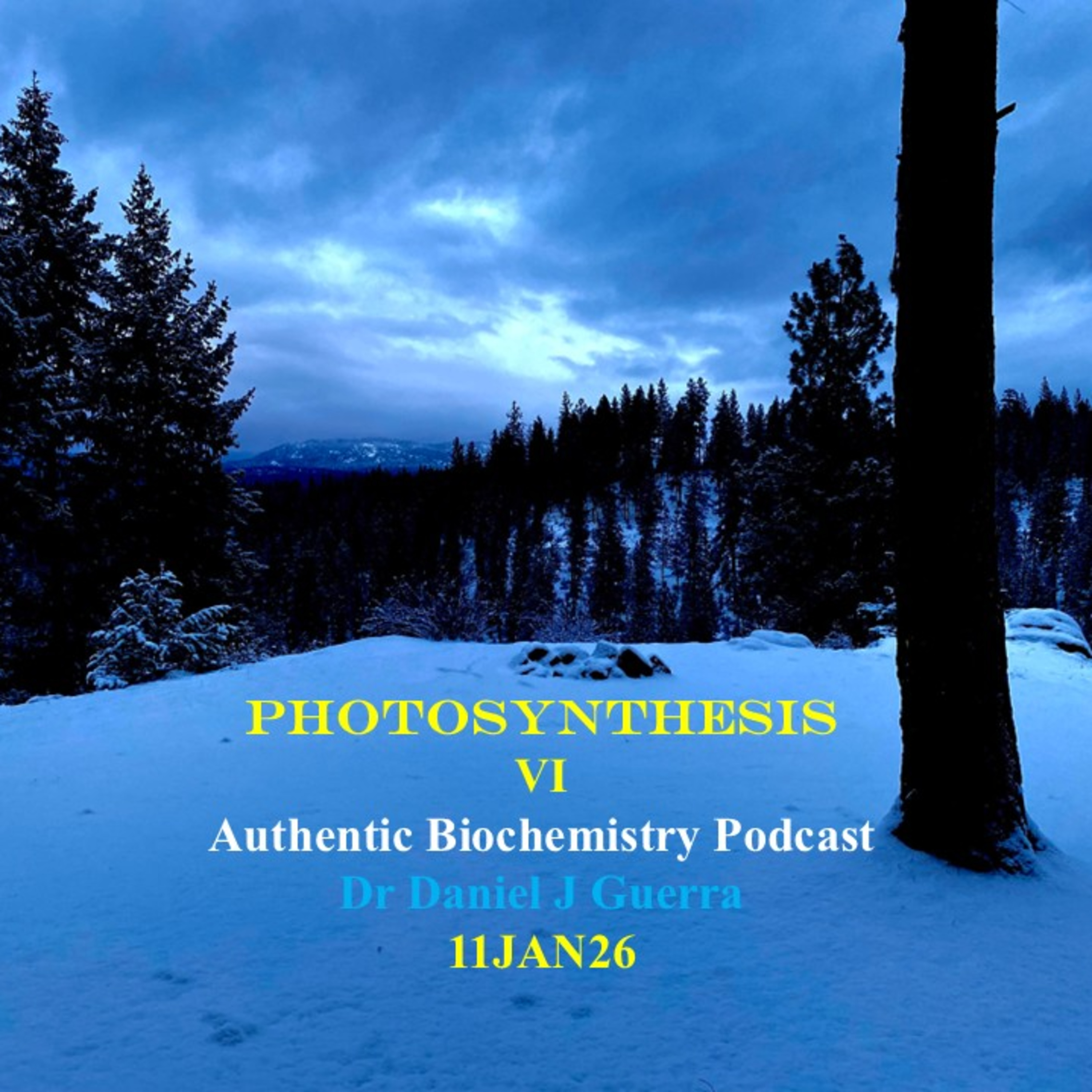 PhotosynthesisVIAuthentic Biochemistry Podcast.11January 2026.Dr Daniel J Guerra
