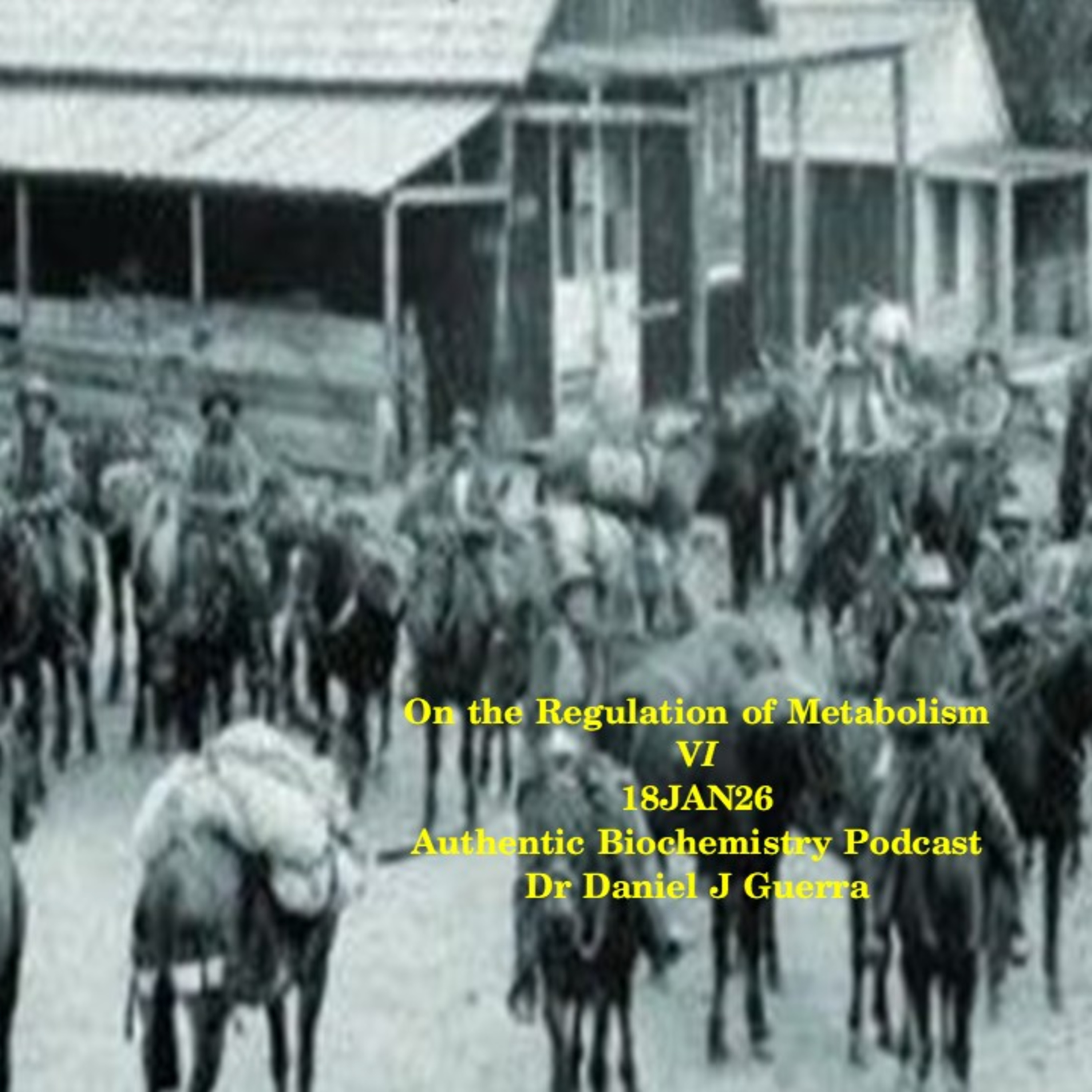 On the Regulation of MetabolismVI18JAN26Authentic Biochemistry PodcastDr Daniel J Guerra