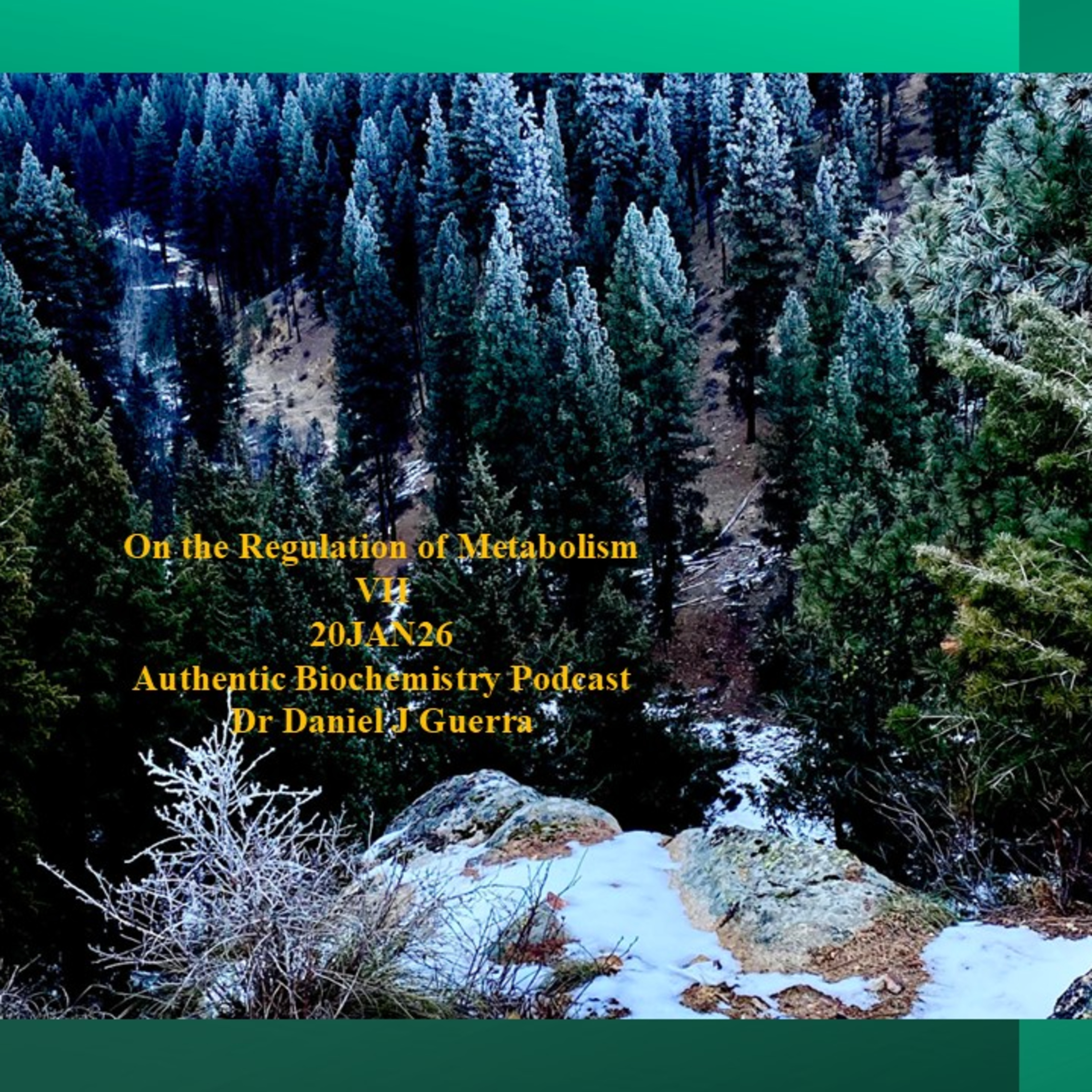 On the Regulation of MetabolismVII20JAN26Authentic Biochemistry PodcastDr Daniel J Guerra