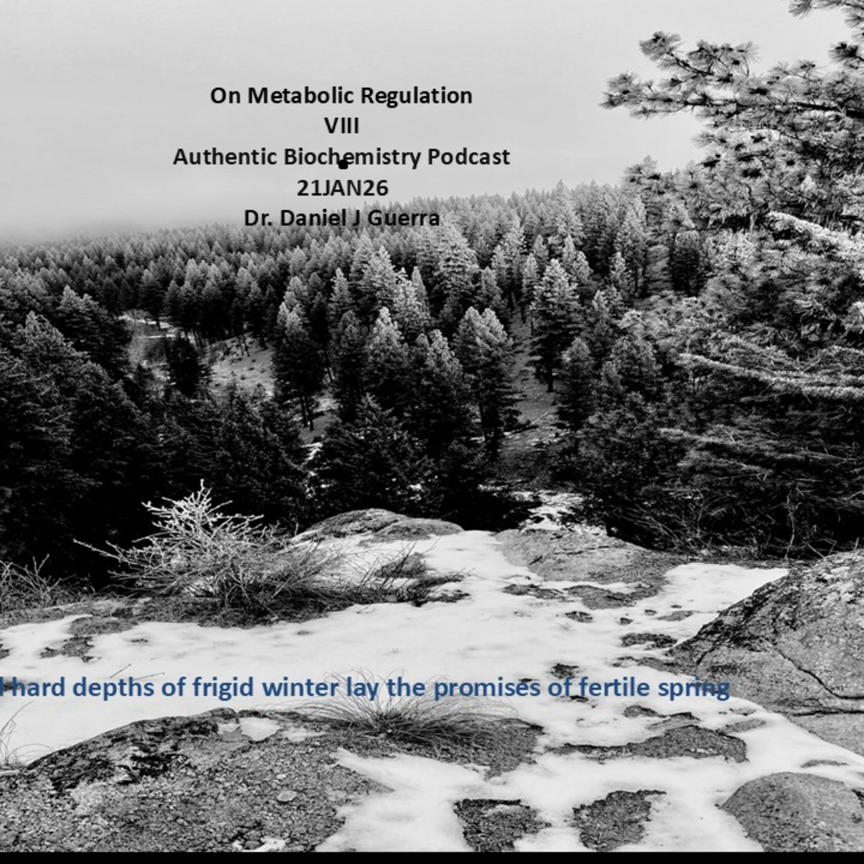  On Metabolic Regulation VIII Authentic Biochemistry Podcast 21JAN26 Dr. Daniel J Guerra