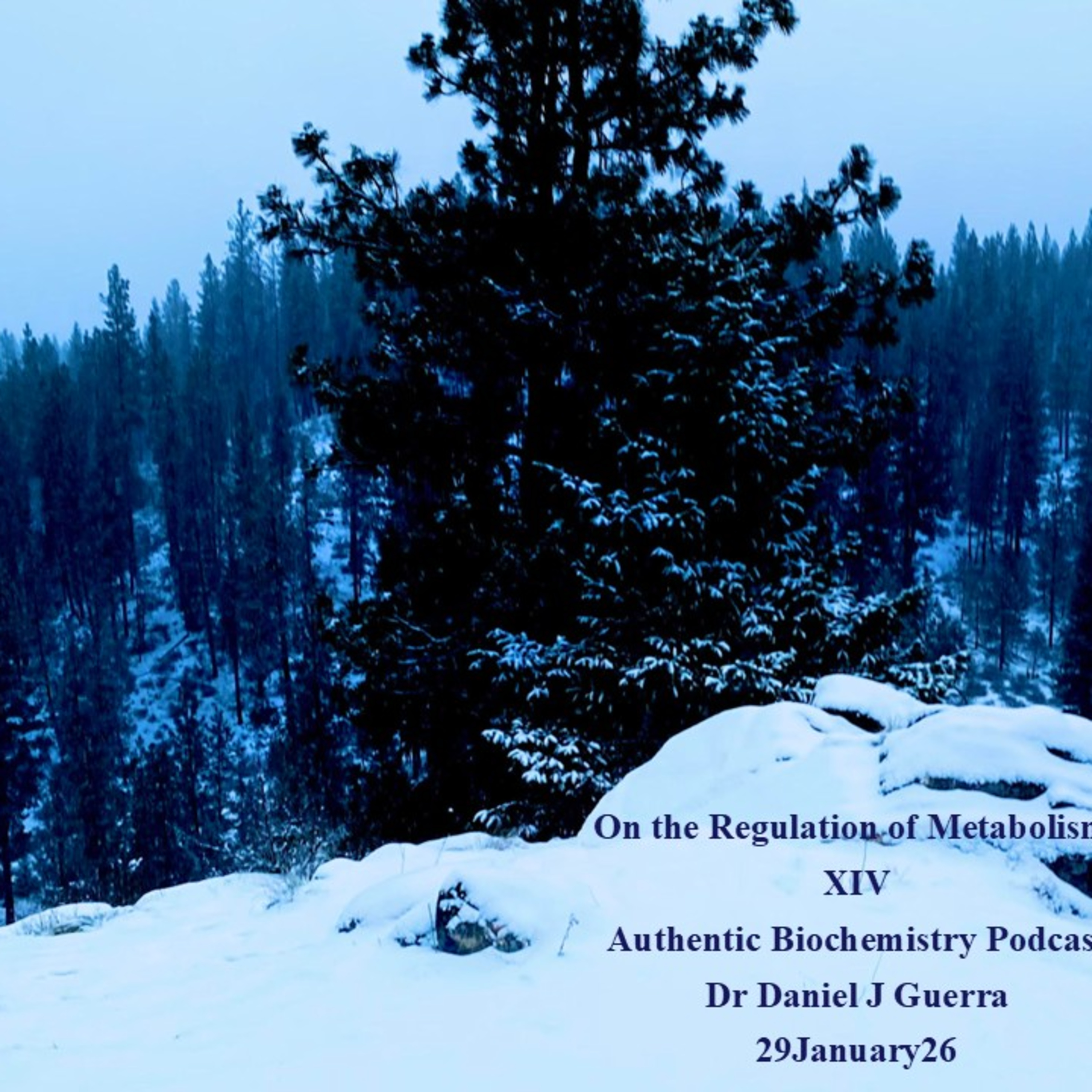 On the Regulation of Metabolism XIV Authentic Biochemistry Podcast Dr Daniel J Guerra 29January26