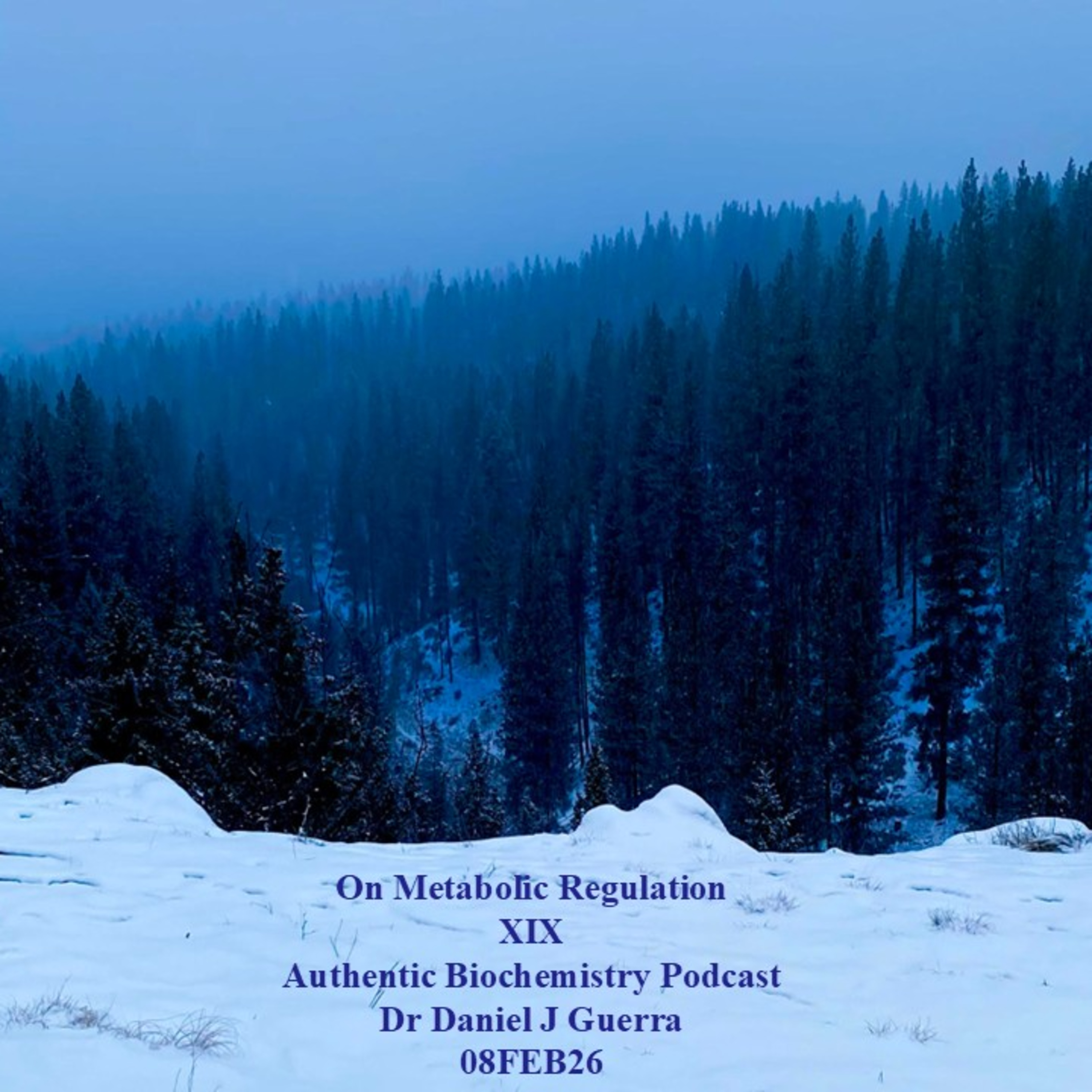 On Metabolic Regulation XIX Authentic Biochemistry Podcast Dr Daniel J Guerra 08FEB26