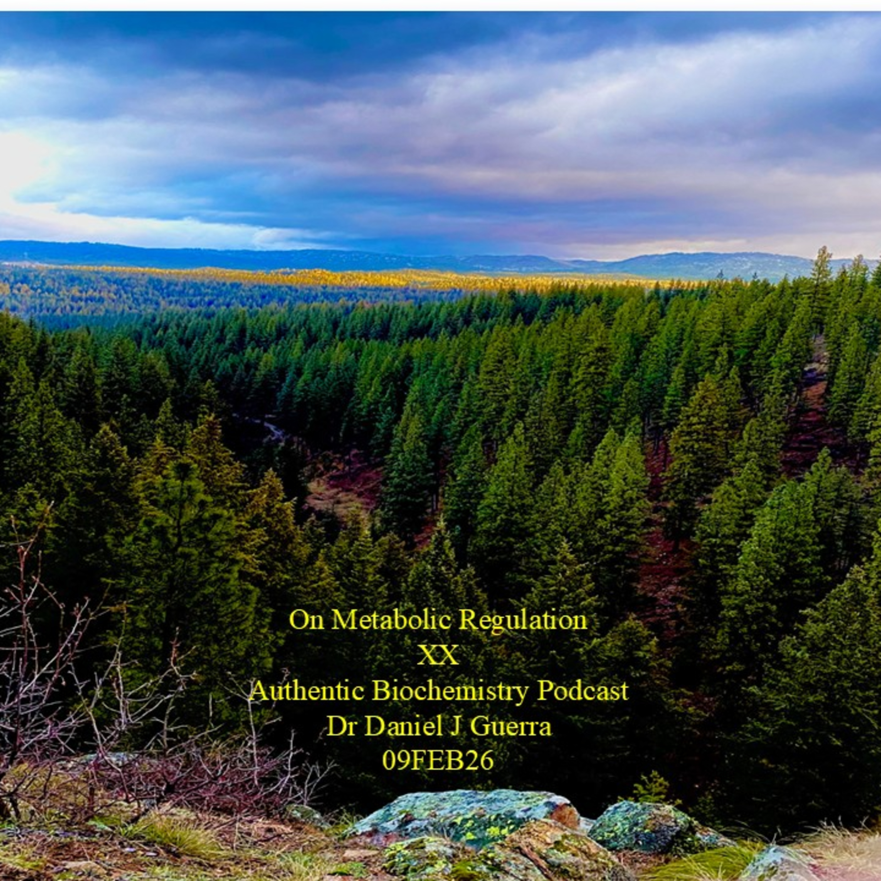 On Metabolic Regulation XX Authentic Biochemistry Podcast Dr Daniel J Guerra 09FEB26