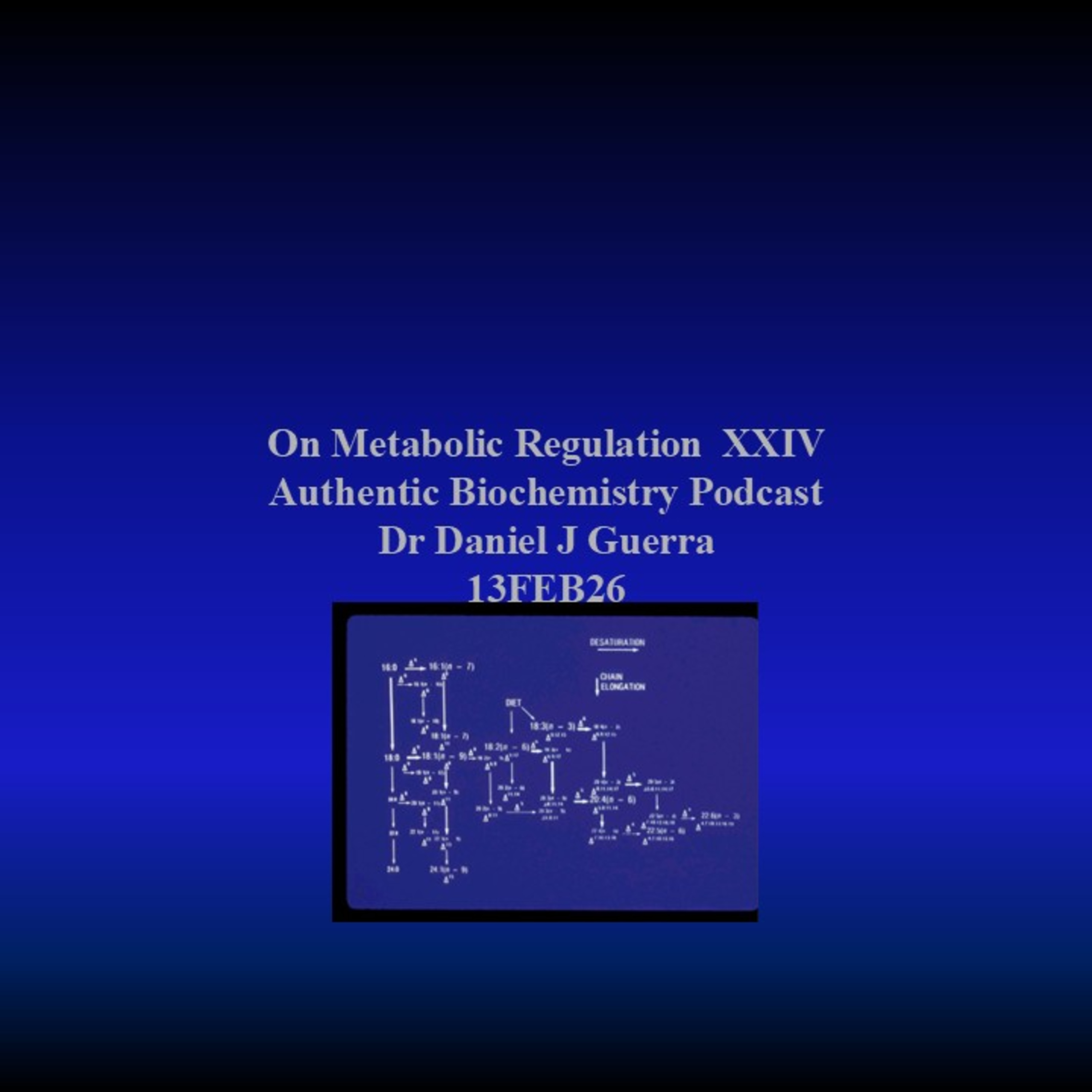 On Metabolic Regulation XXIV Authentic Biochemistry Podcast Dr Daniel J Guerra 13FEB26