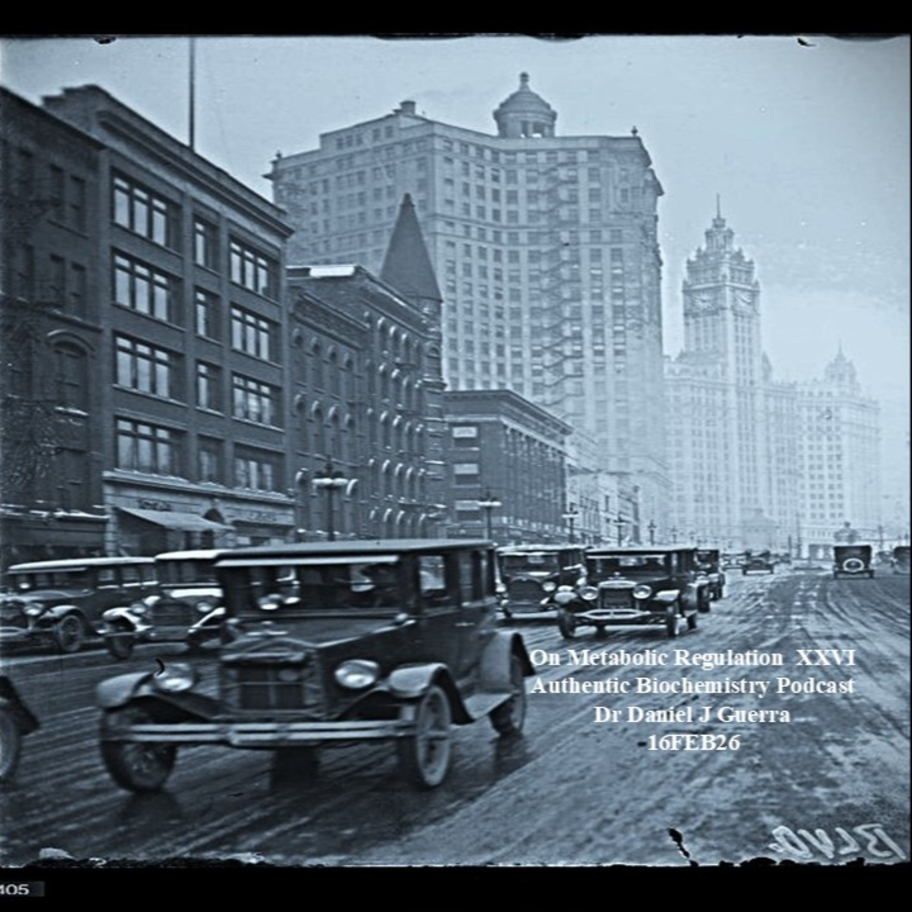 On Metabolic Regulation XXVI Authentic Biochemistry Podcast Dr Daniel J Guerra 16FEB26