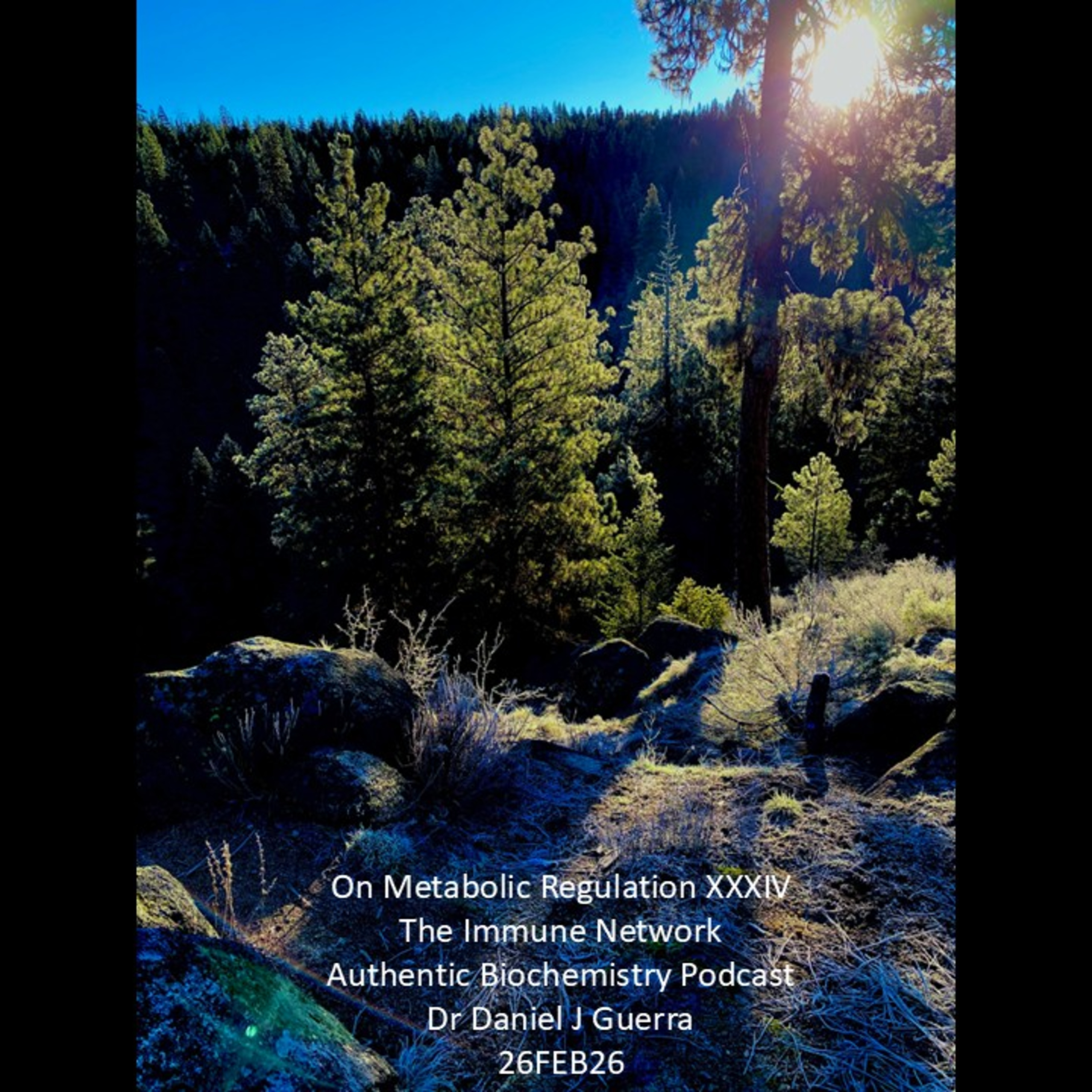 On Metabolic Regulation XXXIVThe Immune Network Authentic Biochemistry PodcastDr Daniel J Guerra26FEB26