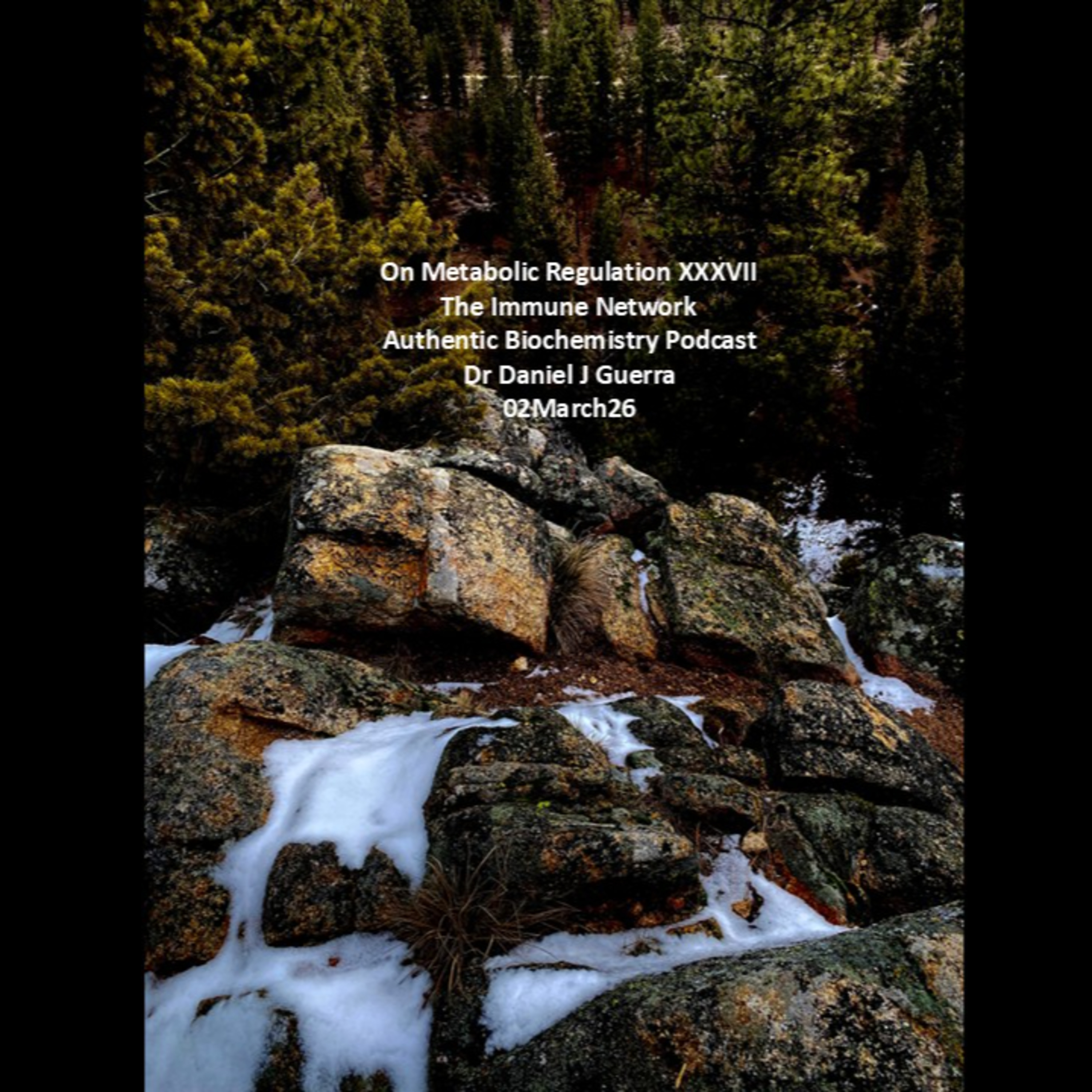 On Metabolic Regulation XXXVIIThe Immune Network Authentic Biochemistry PodcastDr Daniel J Guerra02March26