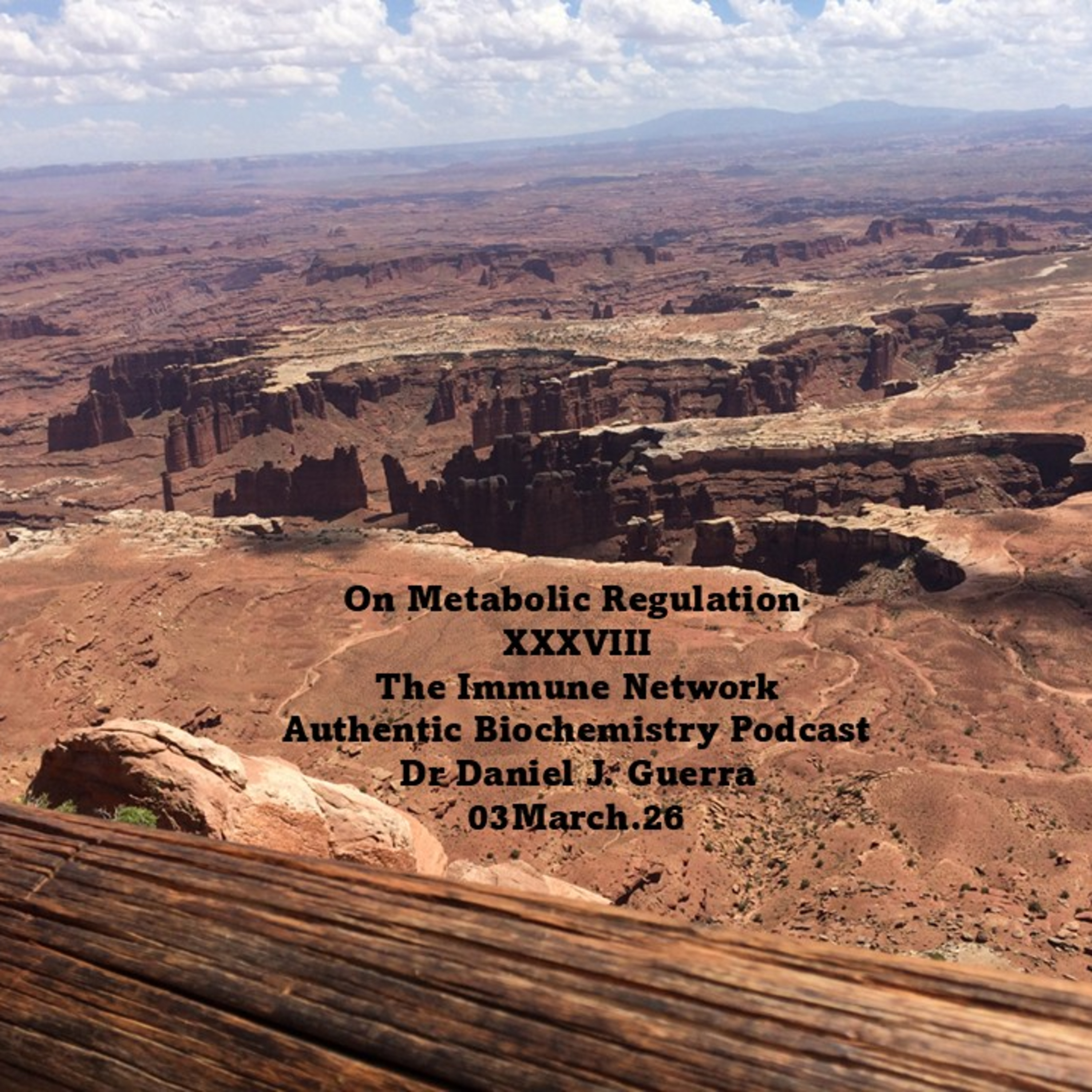 On Metabolic Regulation XXXVIIIThe Immune Network Authentic Biochemistry Podcast Dr Daniel J. Guerra 03March.26
