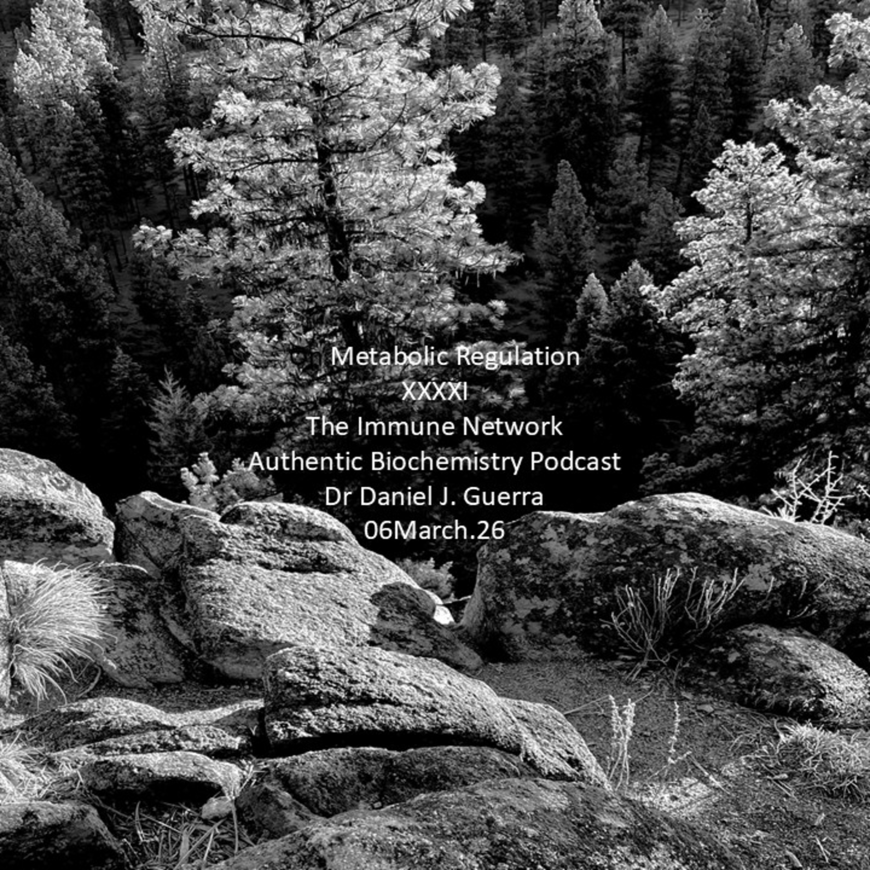 On Metabolic Regulation XXXXIThe Immune Network Authentic Biochemistry Podcast Dr Daniel J. Guerra 06March.26