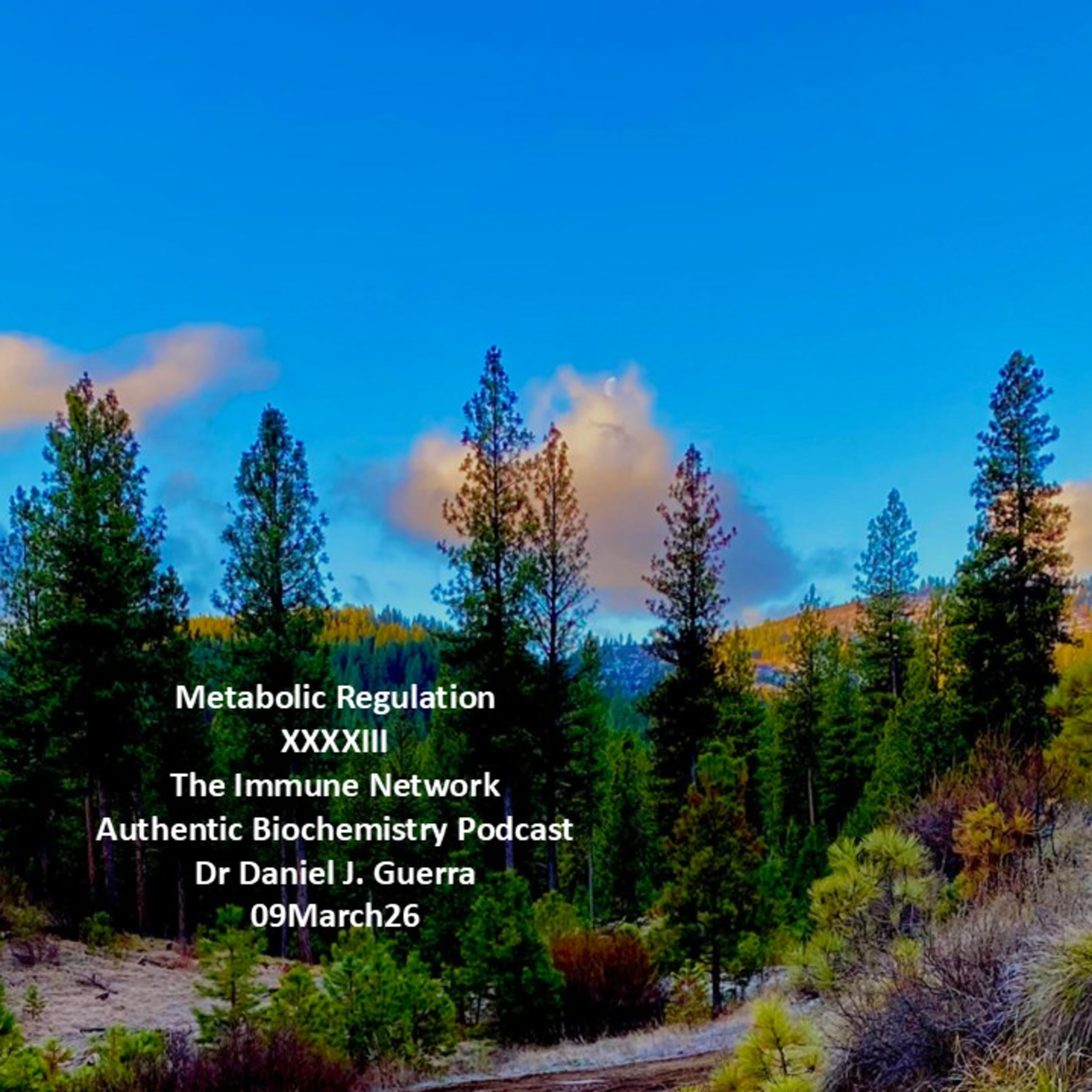 Metabolic Regulation XXXXIIIThe Immune Network Authentic Biochemistry Podcast Dr Daniel J. Guerra 09March26