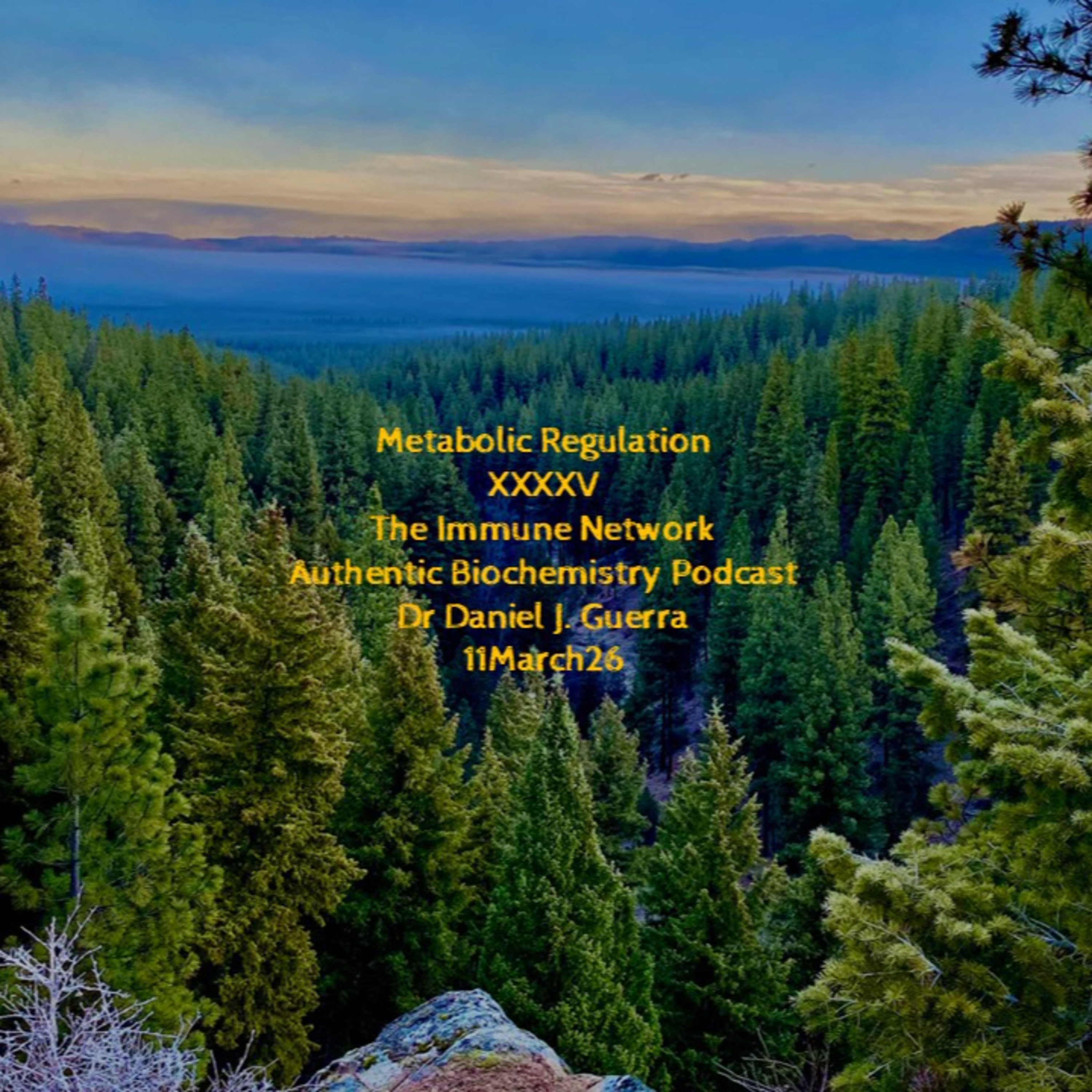 Metabolic Regulation XXXXVThe Immune Network Authentic Biochemistry Podcast Dr Daniel J. Guerra 11March26