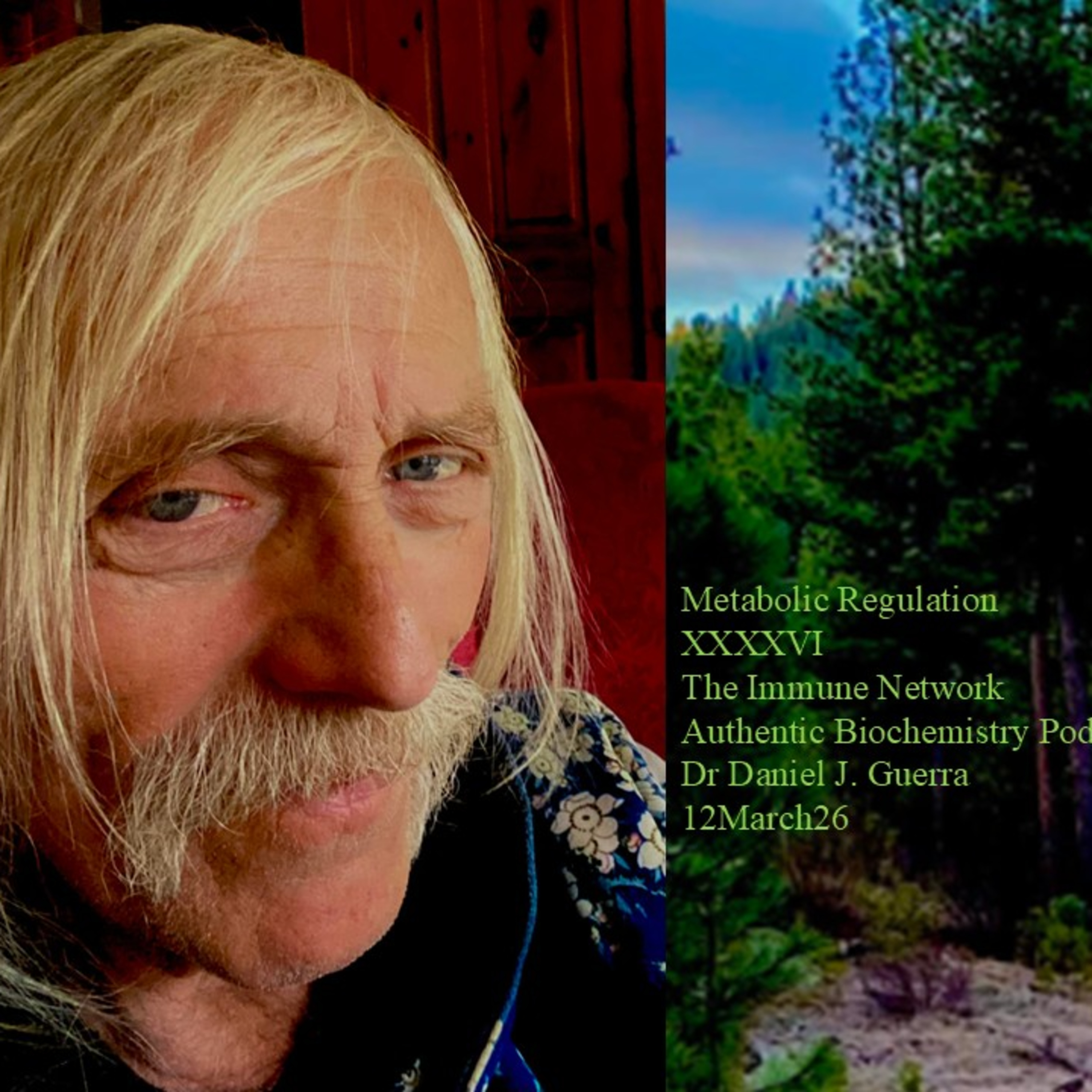 Metabolic Regulation XXXXVIThe Immune Network Authentic Biochemistry Podcast Dr Daniel J. Guerra 12March26