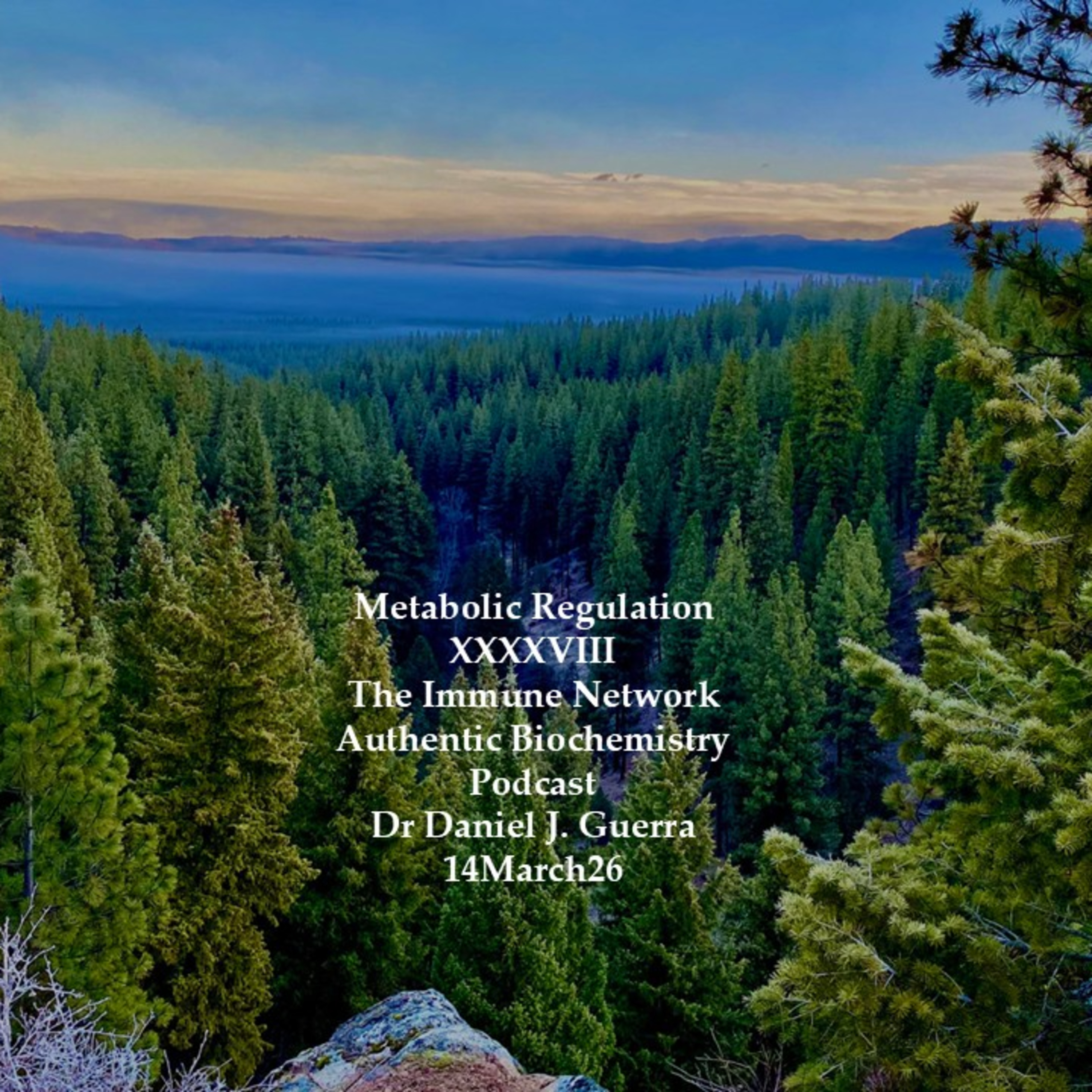 Metabolic Regulation XXXXVIIIThe Immune Network Authentic Biochemistry Podcast Dr Daniel J. Guerra 14March26