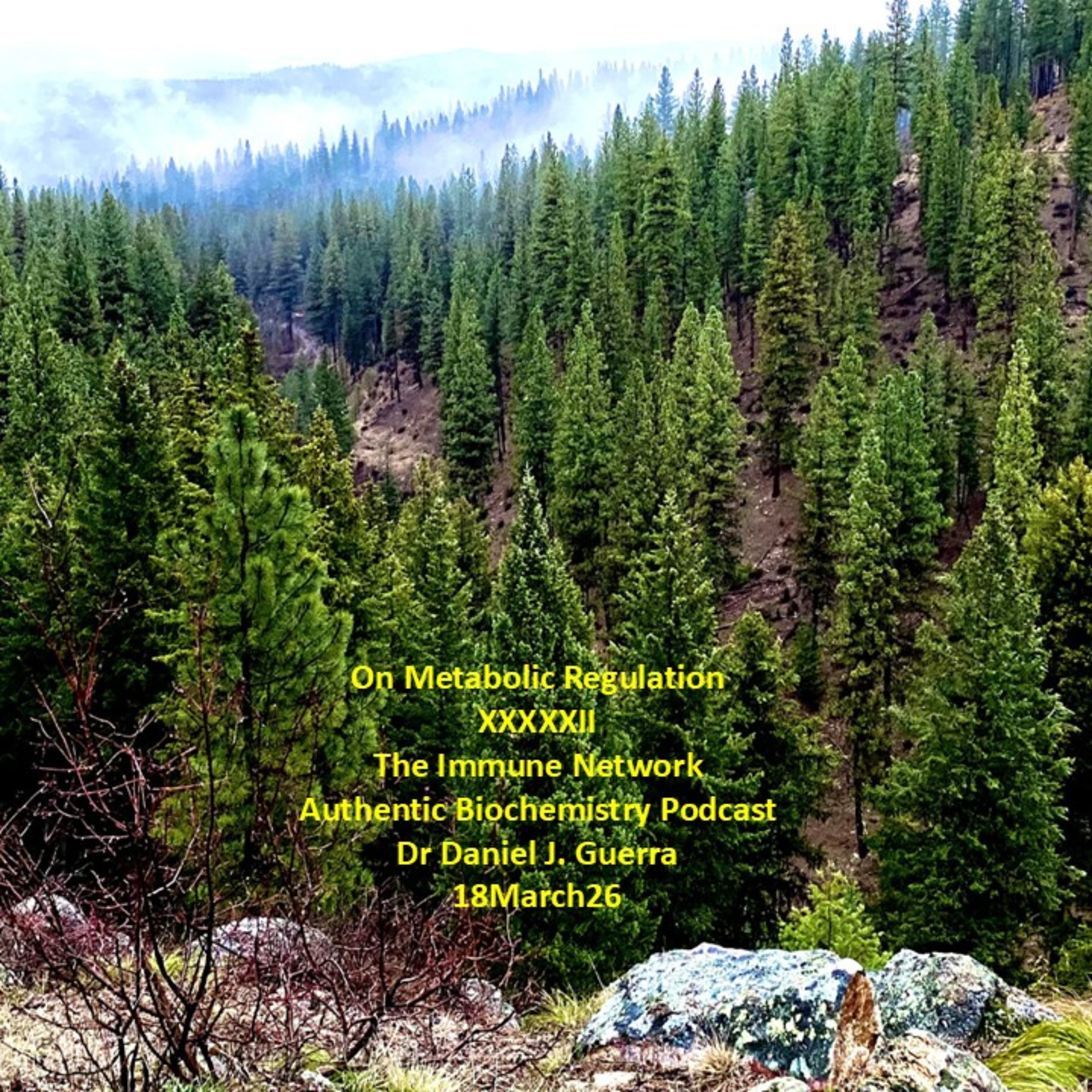 On Metabolic Regulation XXXXXIIThe Immune Network Authentic Biochemistry Podcast Dr Daniel J. Guerra 18March26