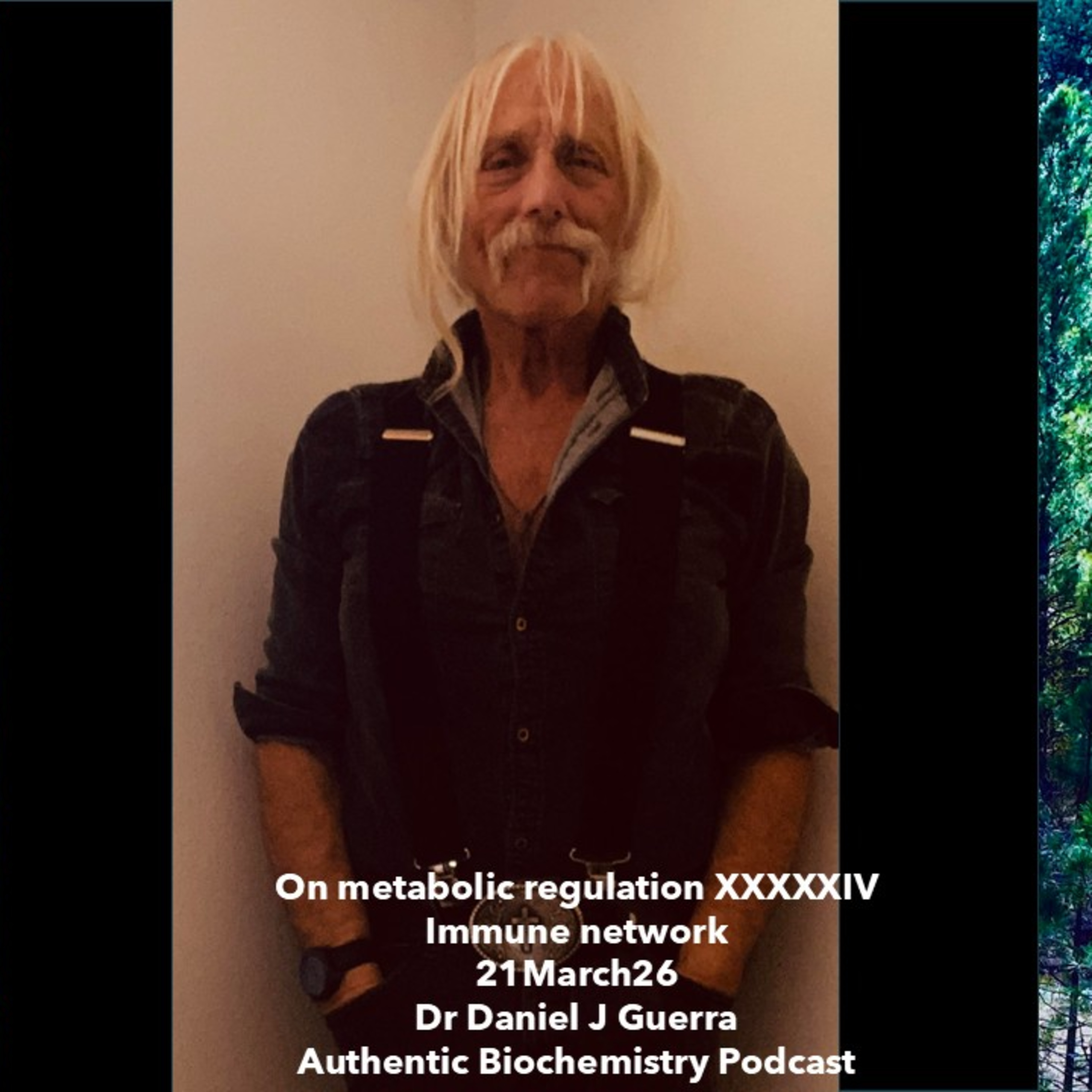 On metabolic regulation XXXXXIV Immune network 21March26 Dr Daniel J Guerra Authentic Biochemistry Podcast