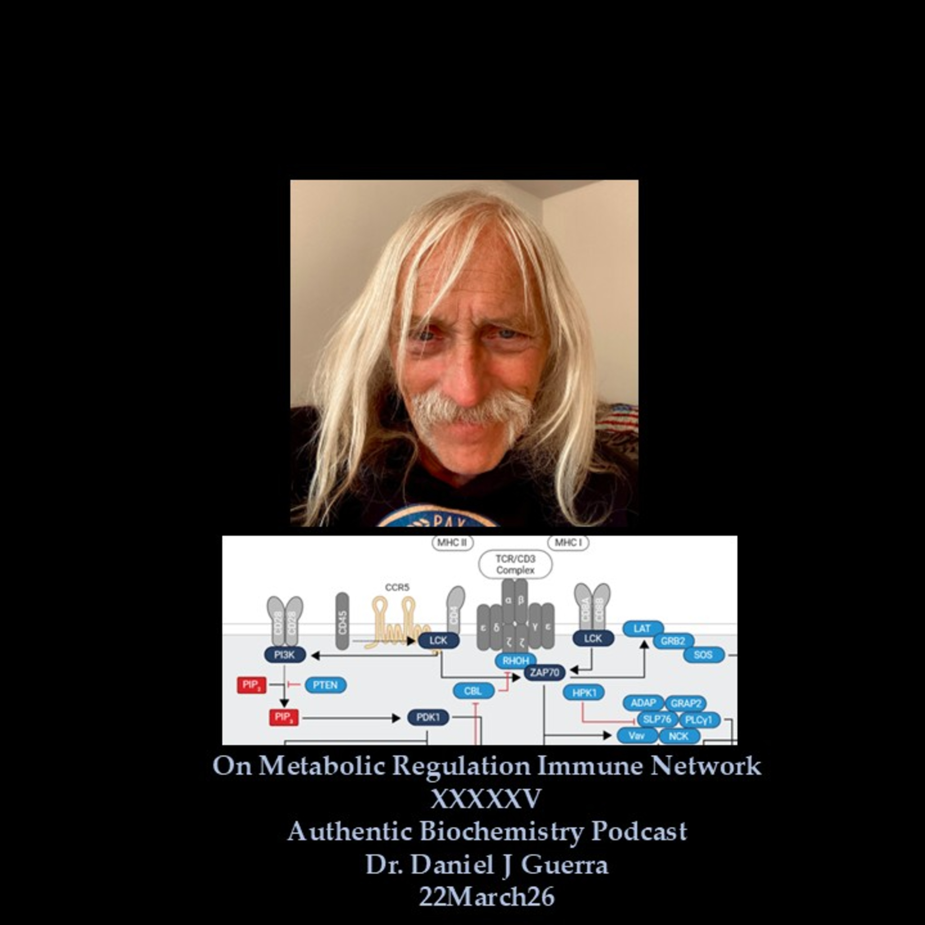 On Metabolic Regulation Immune Network XXXXXV Authentic Biochemistry Podcast Dr. Daniel J Guerra 22March26
