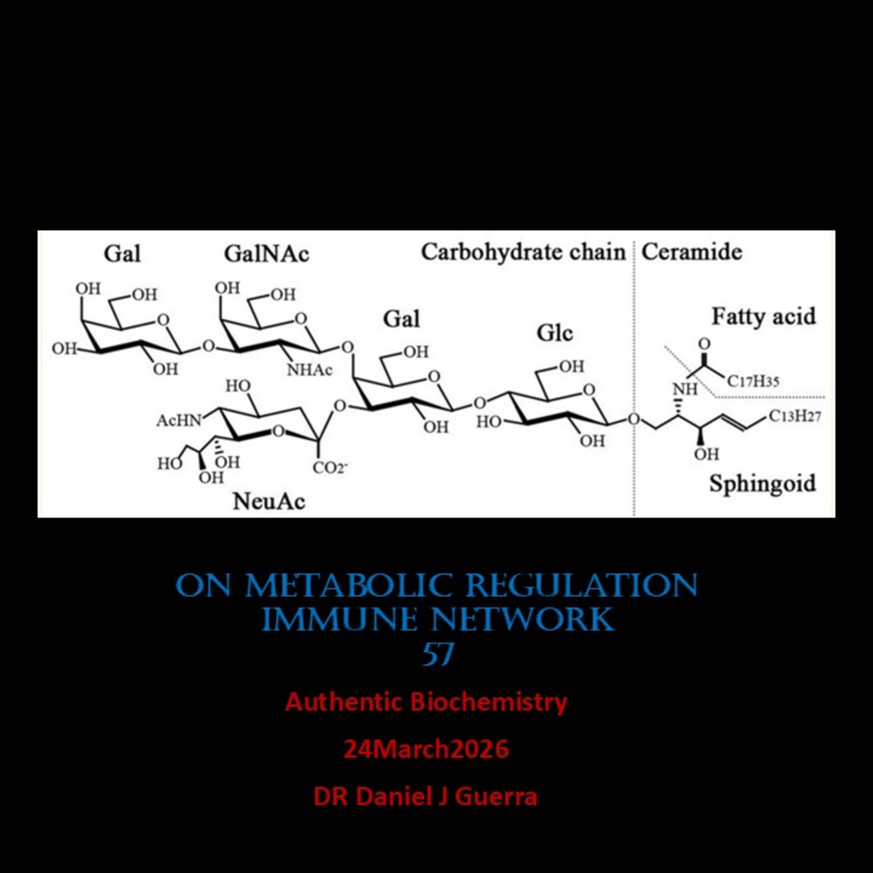 On Metabolic RegulationImmune Network57.Authentic Biochemistry 24March2026 DR Daniel J Guerra