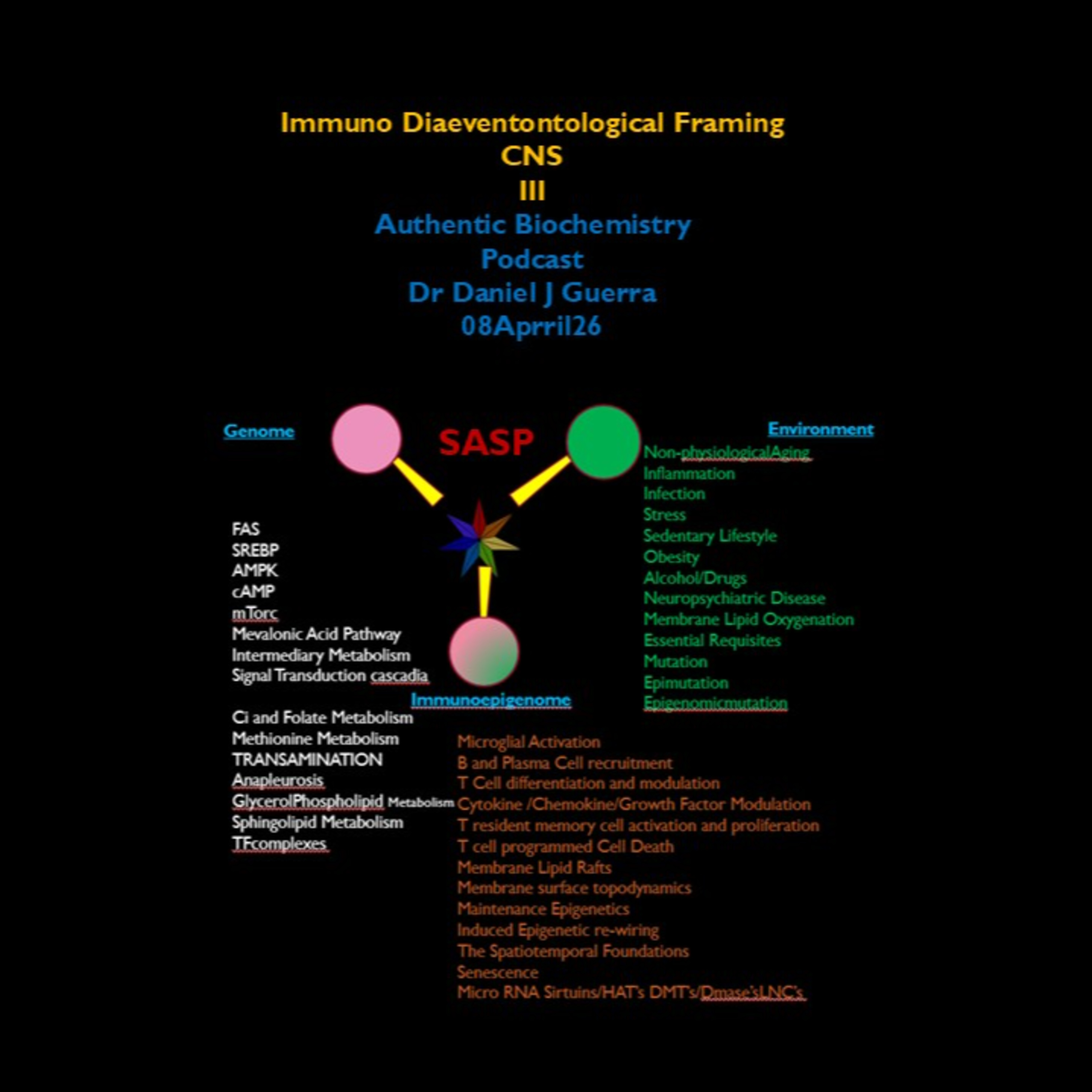 Immuno Diaeventontological Framing CNS III Authentic Biochemistry Podcast Dr Daniel J Guerra 08Aprril26