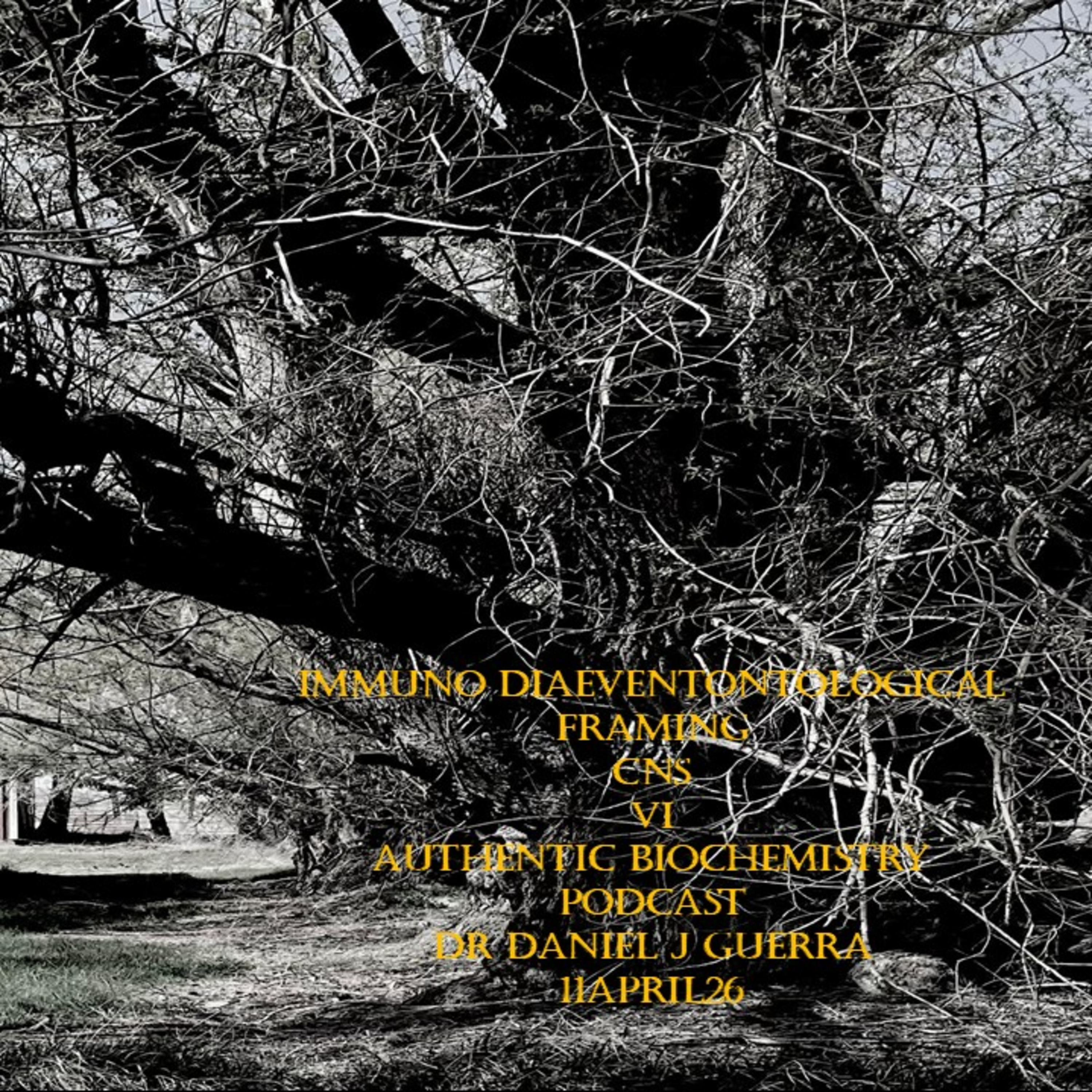 Immuno Diaeventontological Framing CNS VI Authentic Biochemistry Podcast Dr Daniel J Guerra 11April26