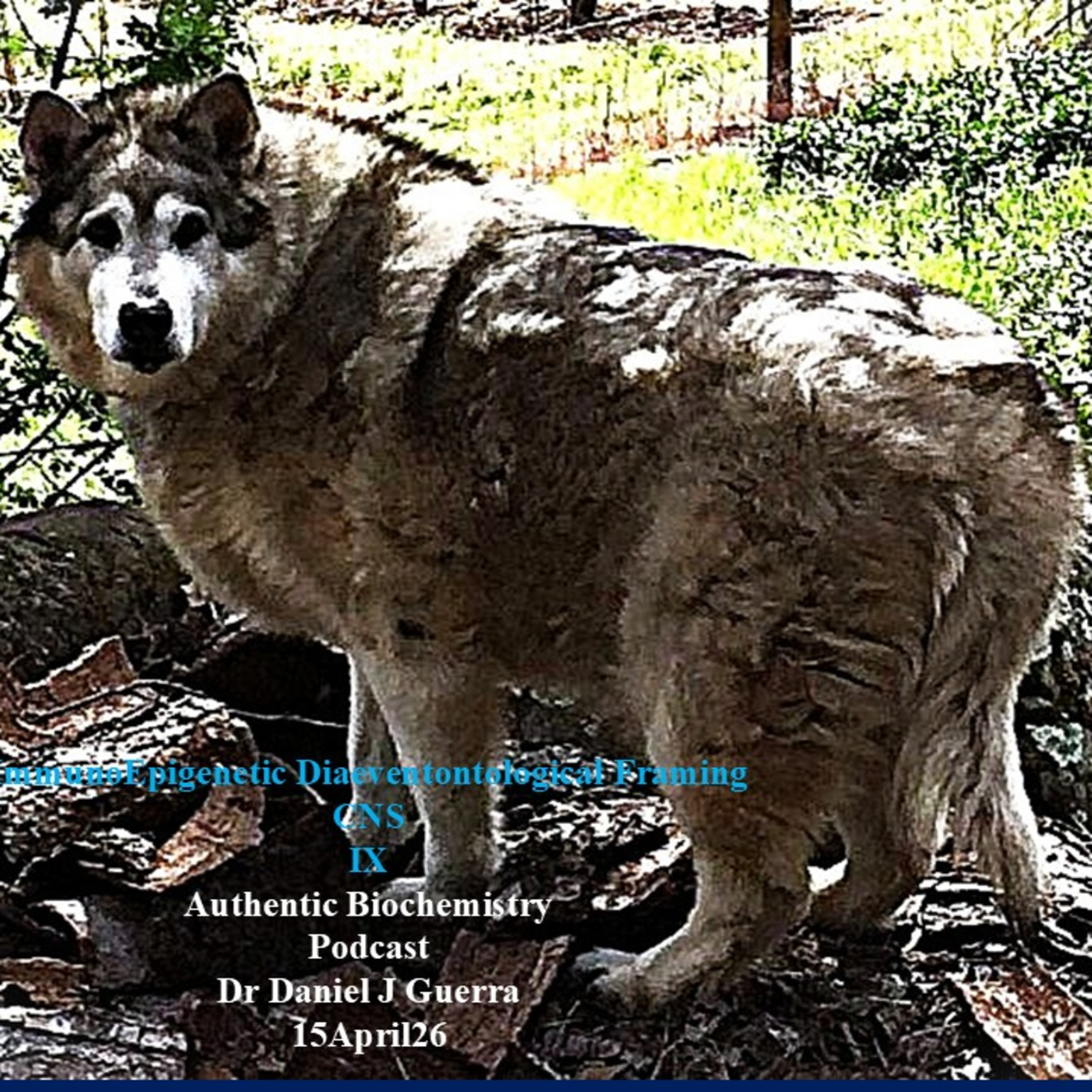 ImmunoEpigenetic Diaeventontological Framing CNSIXAuthentic BiochemistryPodcastDr Daniel J Guerra15April26